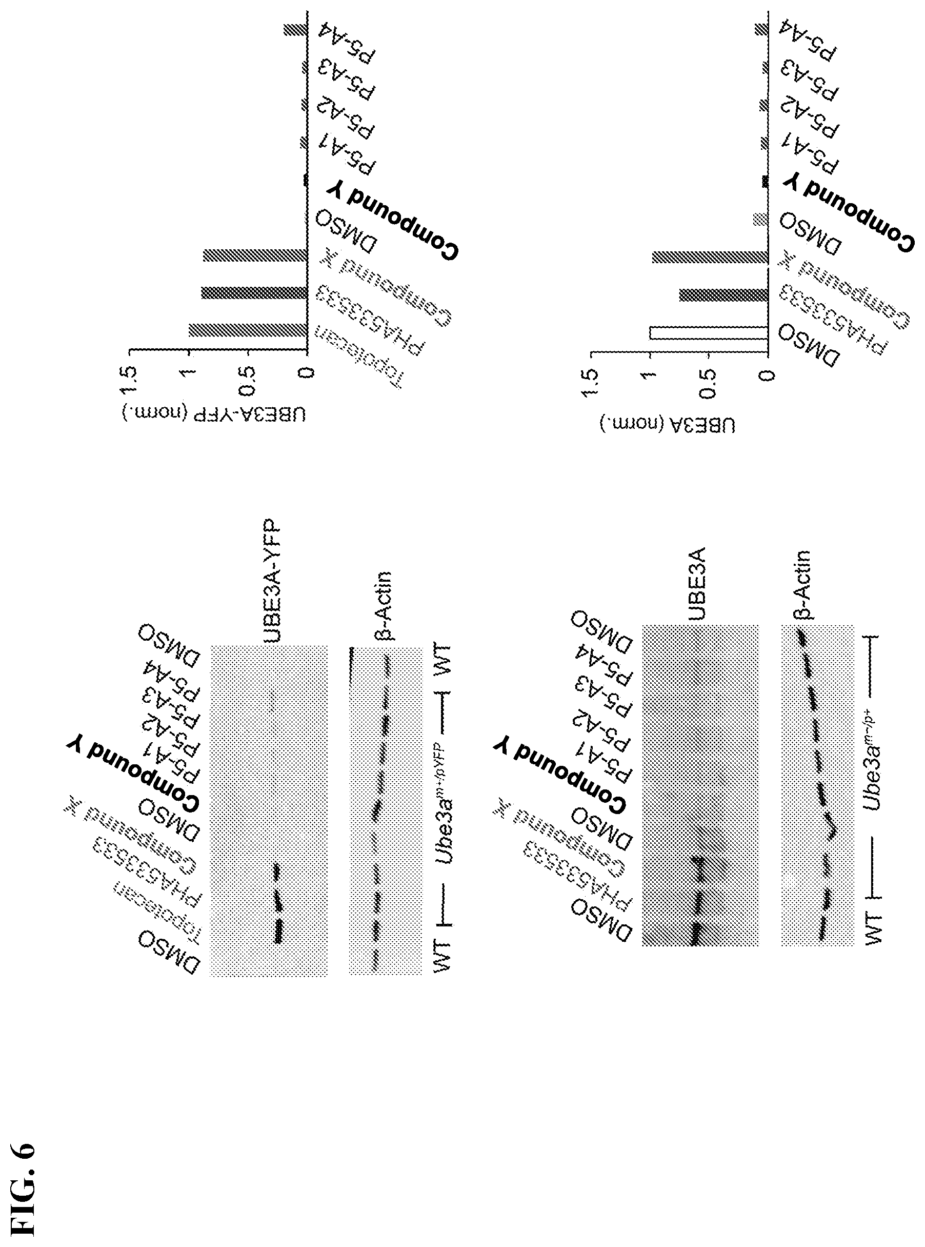 Patent US12310947 Figure 14 – Methods and compositions for unsilencing imprinted genes