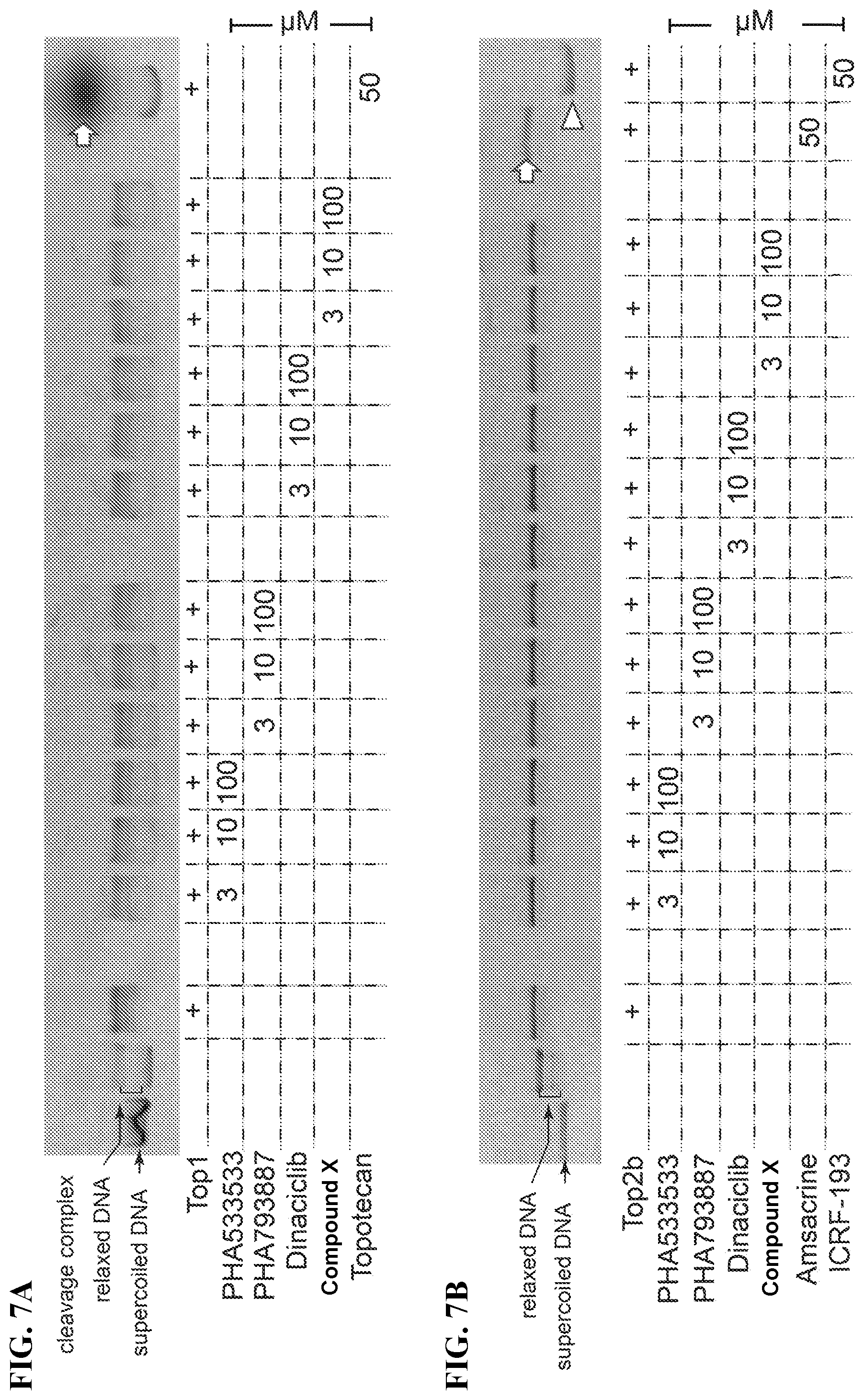 Patent US12310947 Figure 15 – Methods and compositions for unsilencing imprinted genes