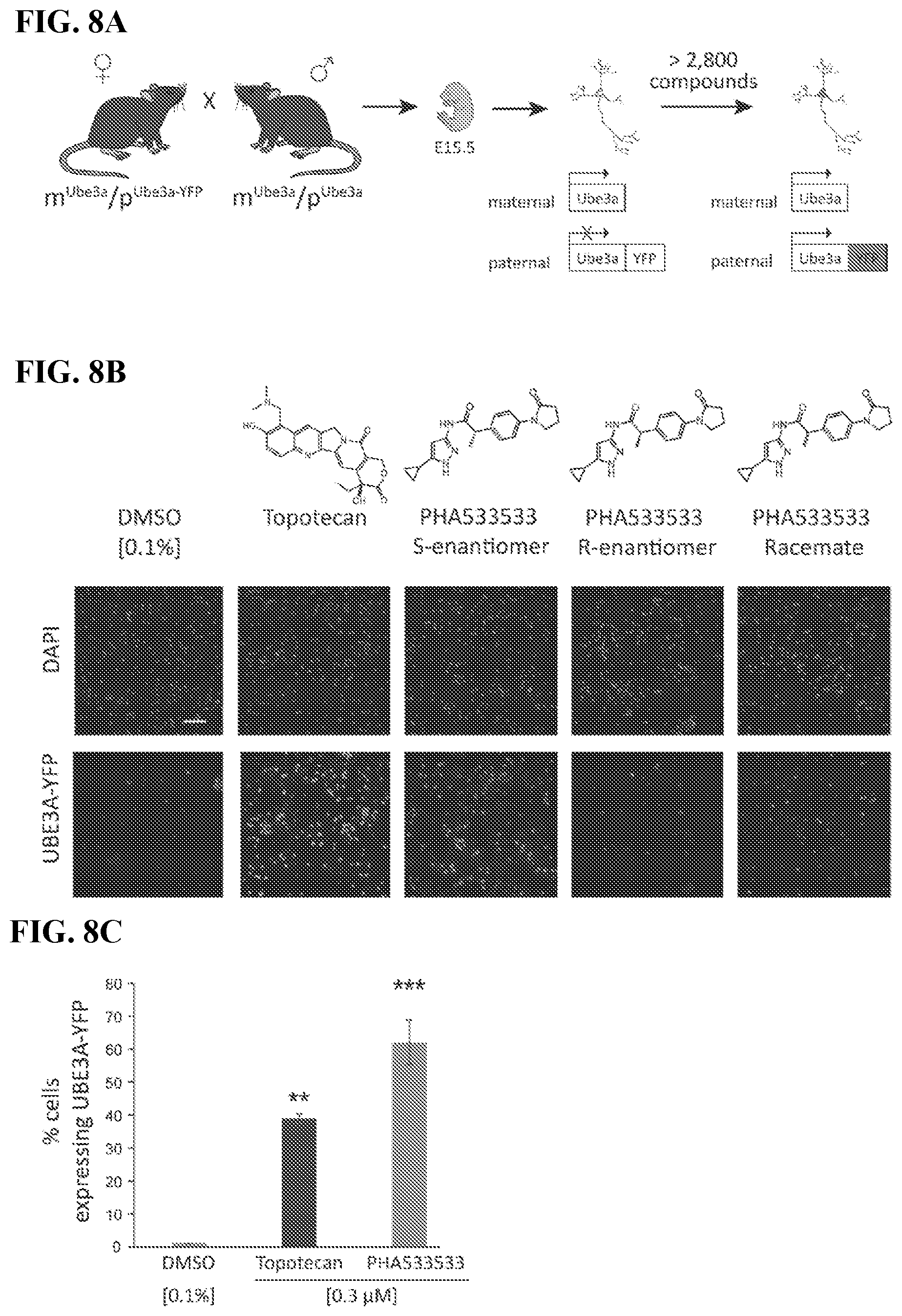 Patent US12310947 Figure 16 – Methods and compositions for unsilencing imprinted genes