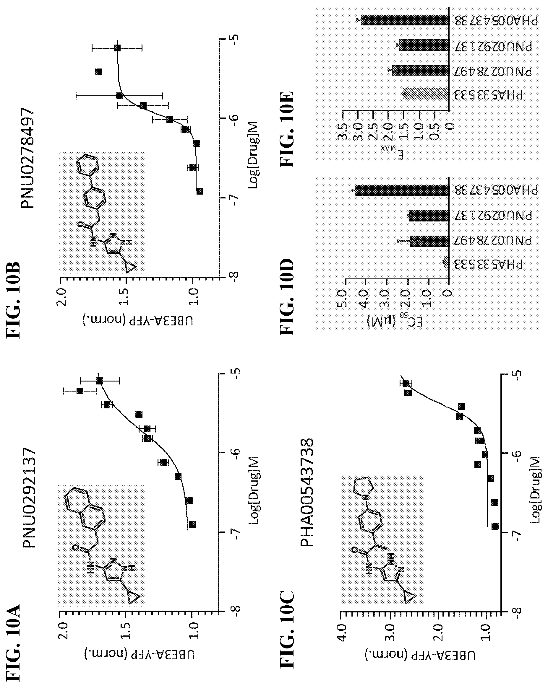 Patent US12310947 Figure 18 – Methods and compositions for unsilencing imprinted genes