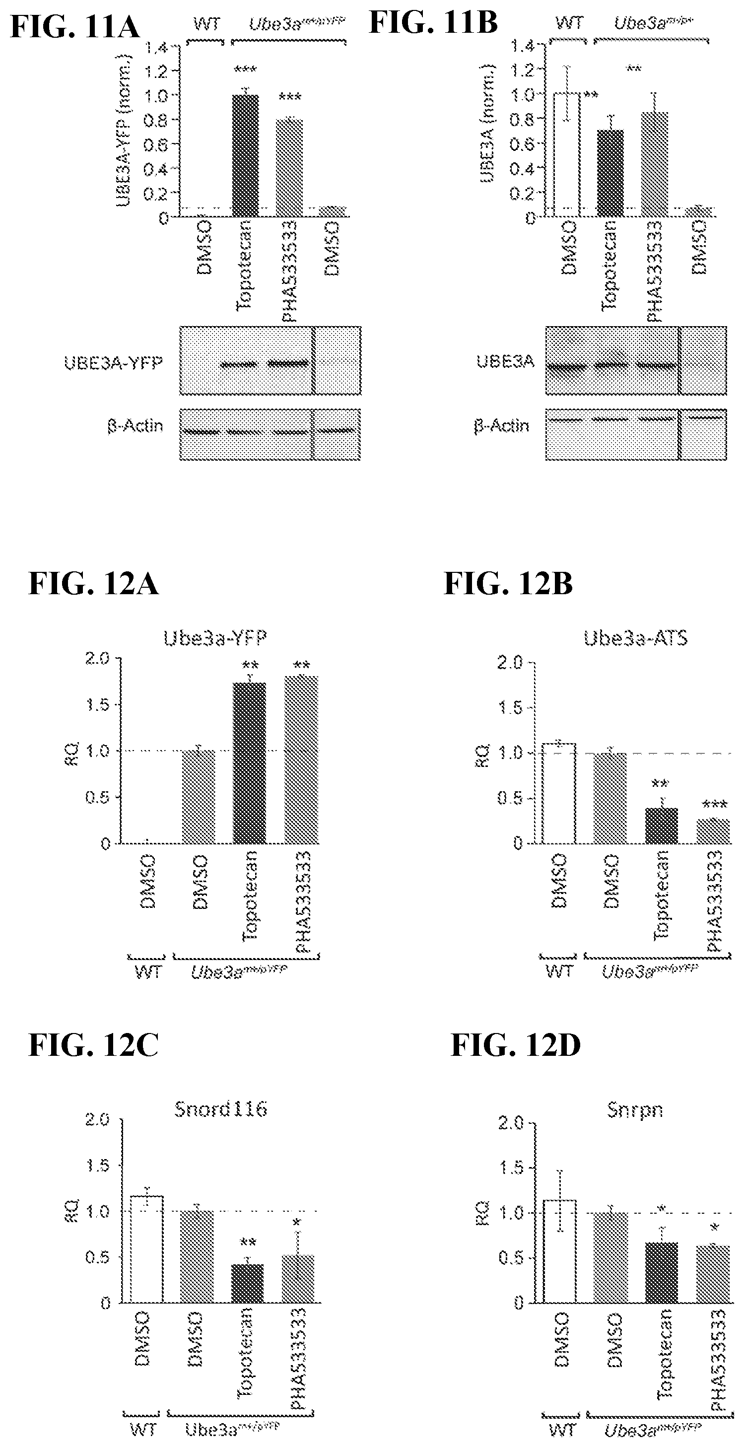 Patent US12310947 Figure 19 – Methods and compositions for unsilencing imprinted genes