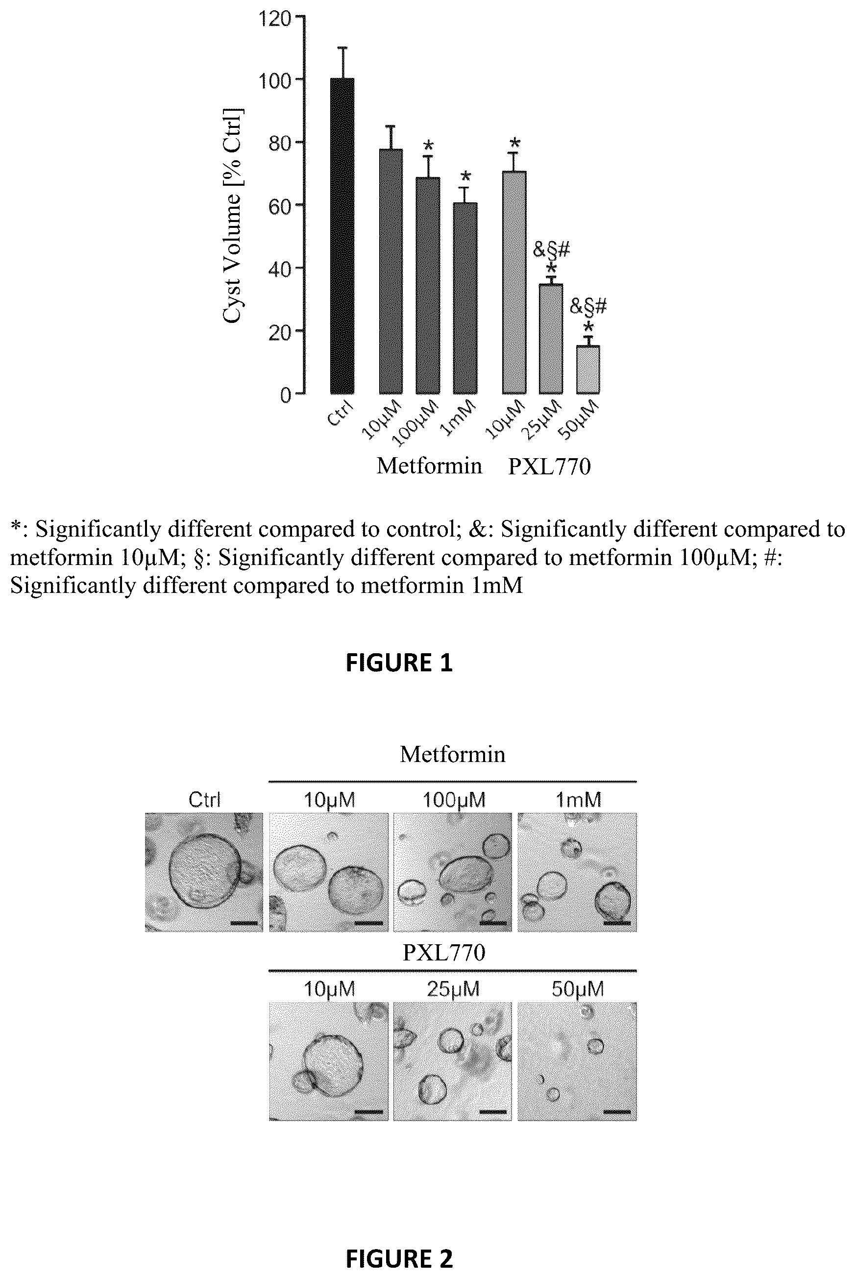 Patent US12310949 Figure 1 – Use of a thienopyridone derivative in the treatment of autosomal dominant polycystic kidney disease (ADPKD)