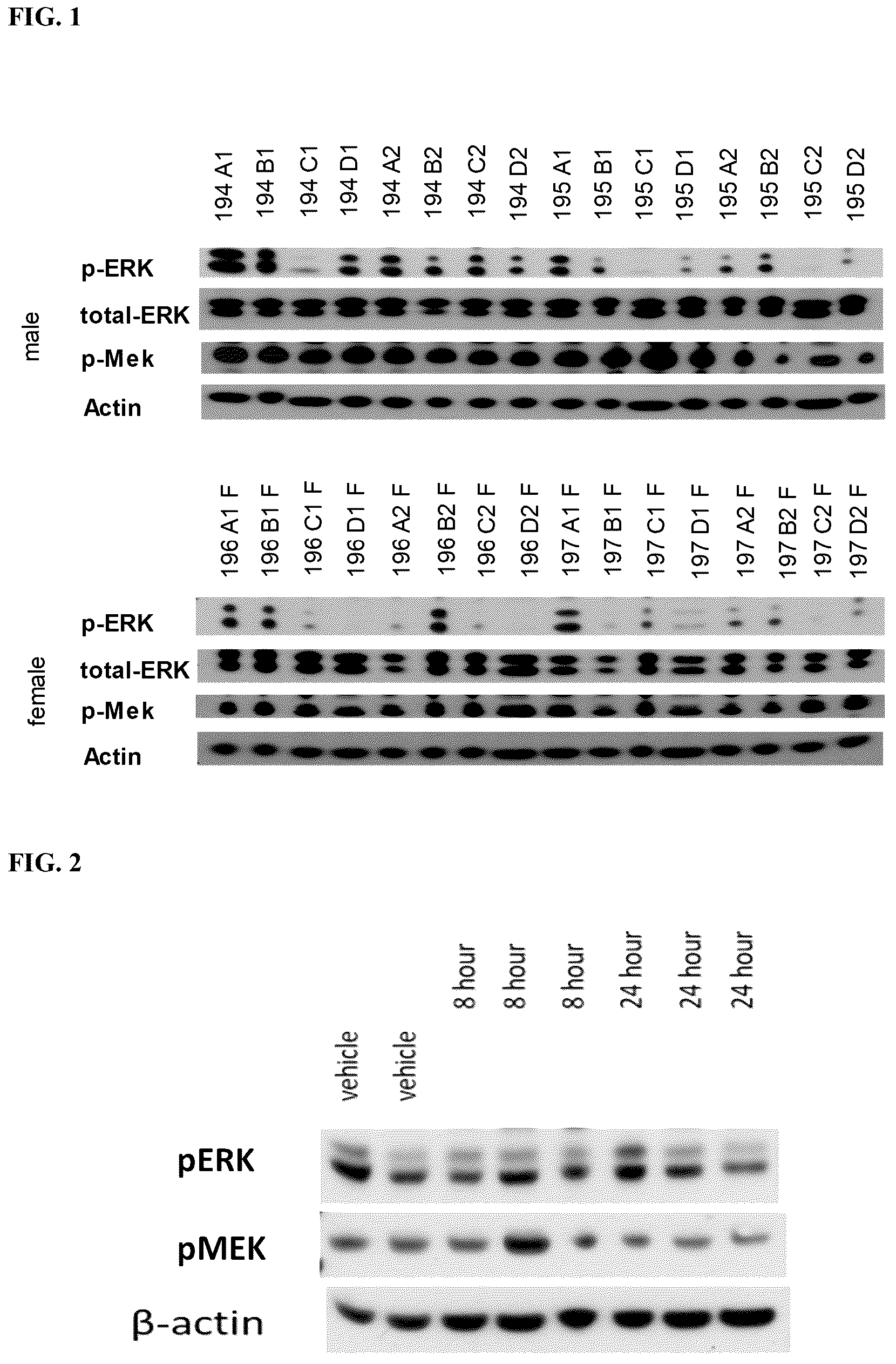 Patent US12310950 Figure 1 – Formulations of pyrrolopyridine-aniline compounds