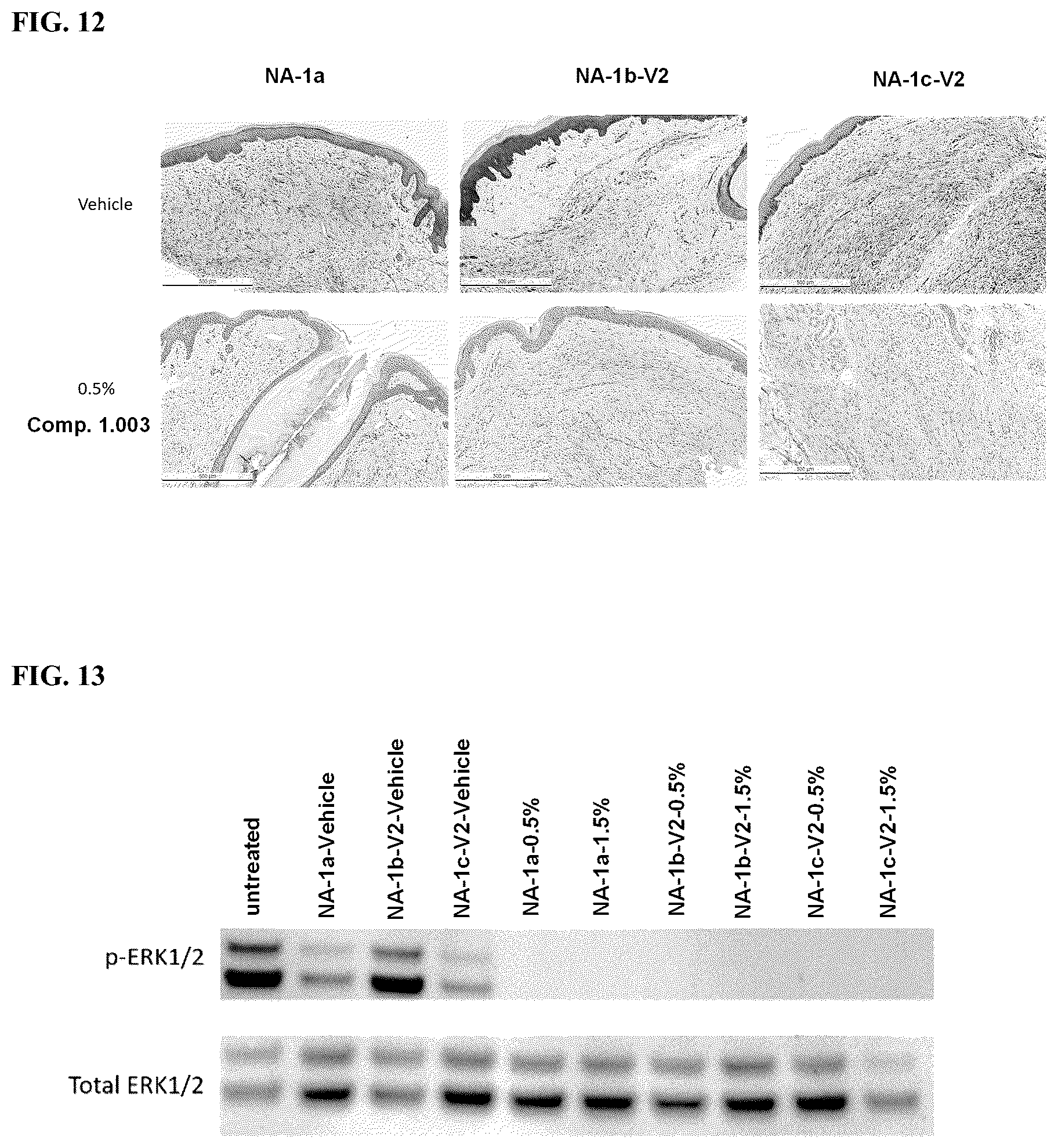 Patent US12310950 Figure 9 – Formulations of pyrrolopyridine-aniline compounds