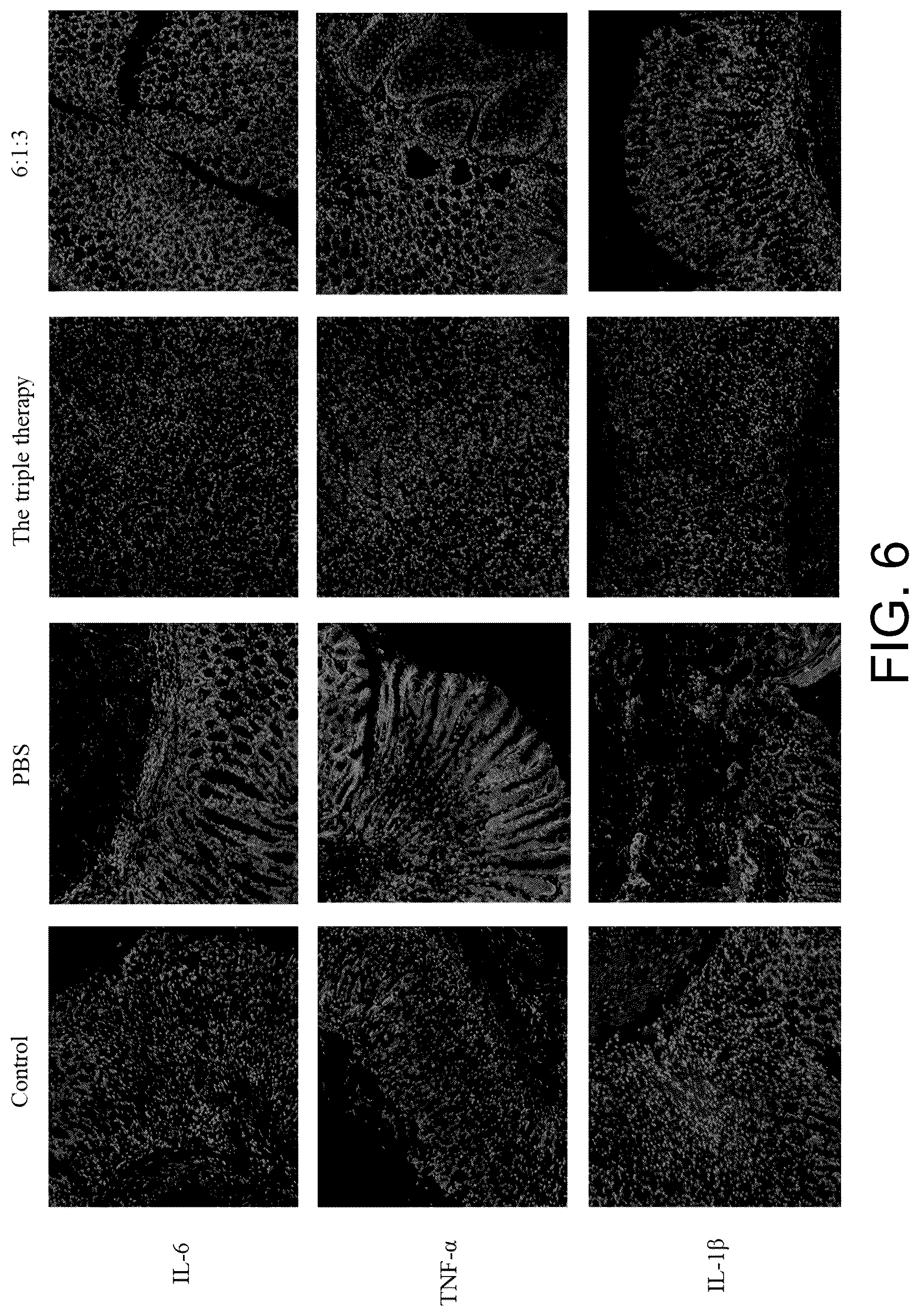 Patent US12310952 Figure 5 – Traditional Chinese drug monomer composition for treating Helicobacter pylori , preparation method and use thereof