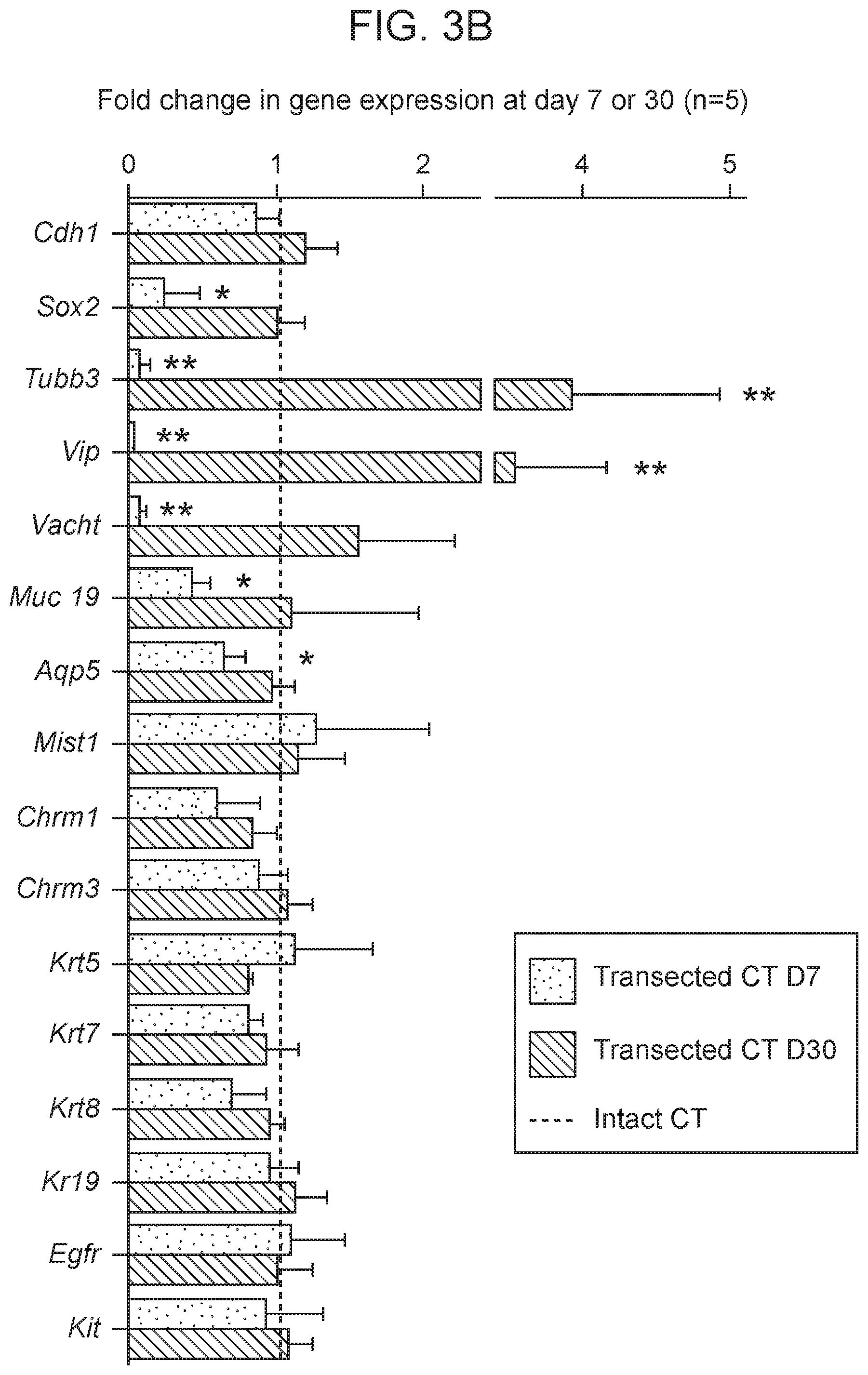 Patent US12310954 Figure 7 – Salivary gland regeneration
