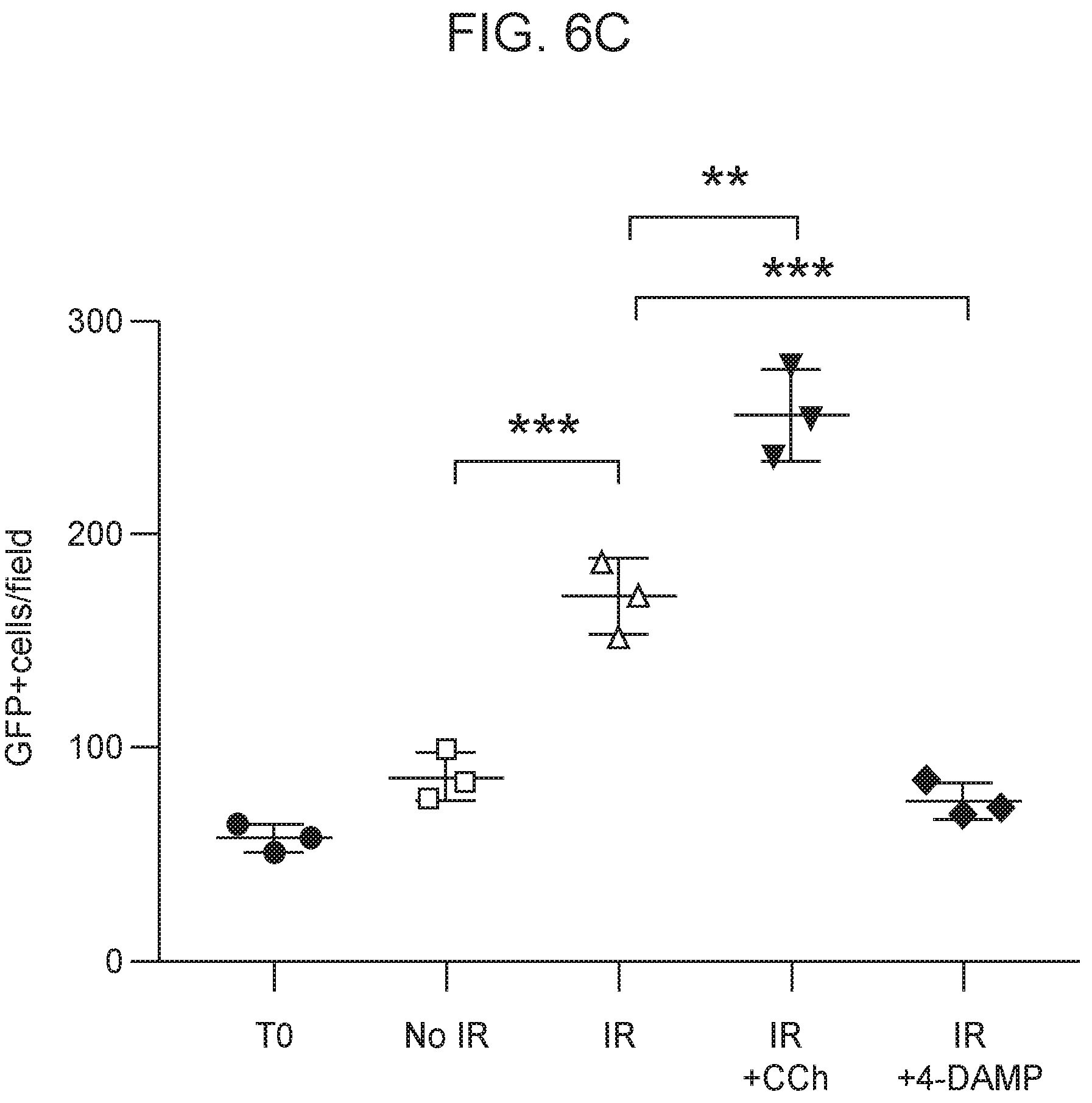 Patent US12310954 Figure 18 – Salivary gland regeneration