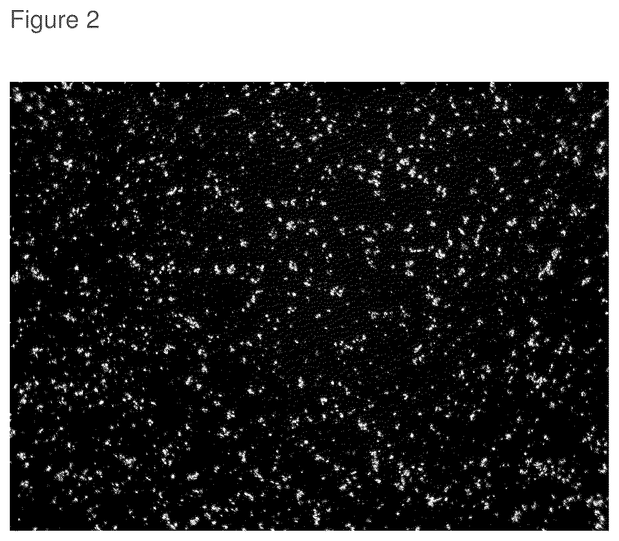Patent US12310956 Figure 2 – Topical roflumilast formulation having improved delivery and plasma half-life