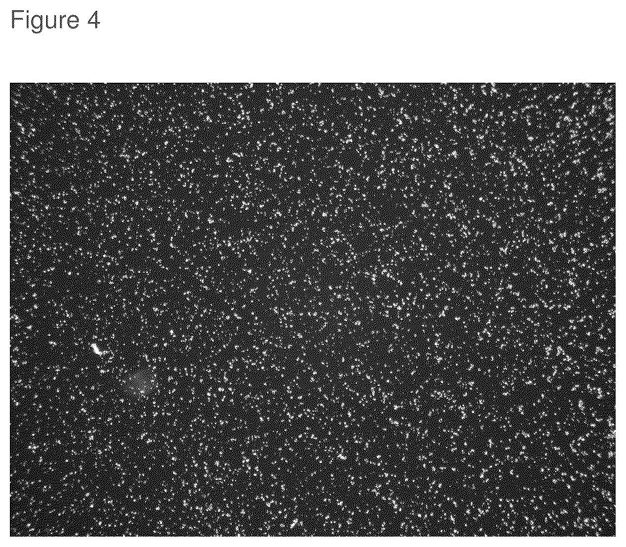 Patent US12310956 Figure 4 – Topical roflumilast formulation having improved delivery and plasma half-life