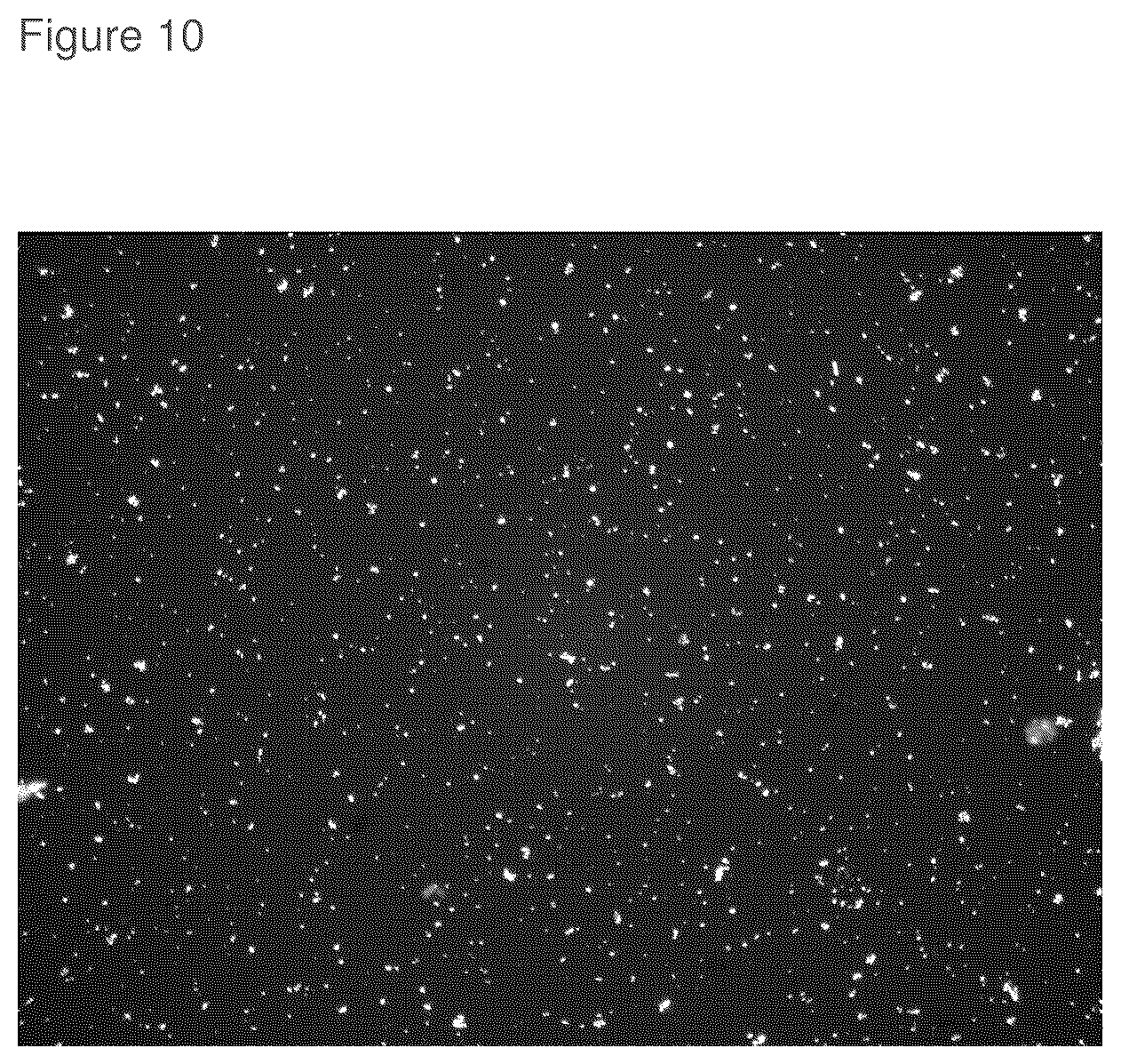 Patent US12310956 Figure 10 – Topical roflumilast formulation having improved delivery and plasma half-life