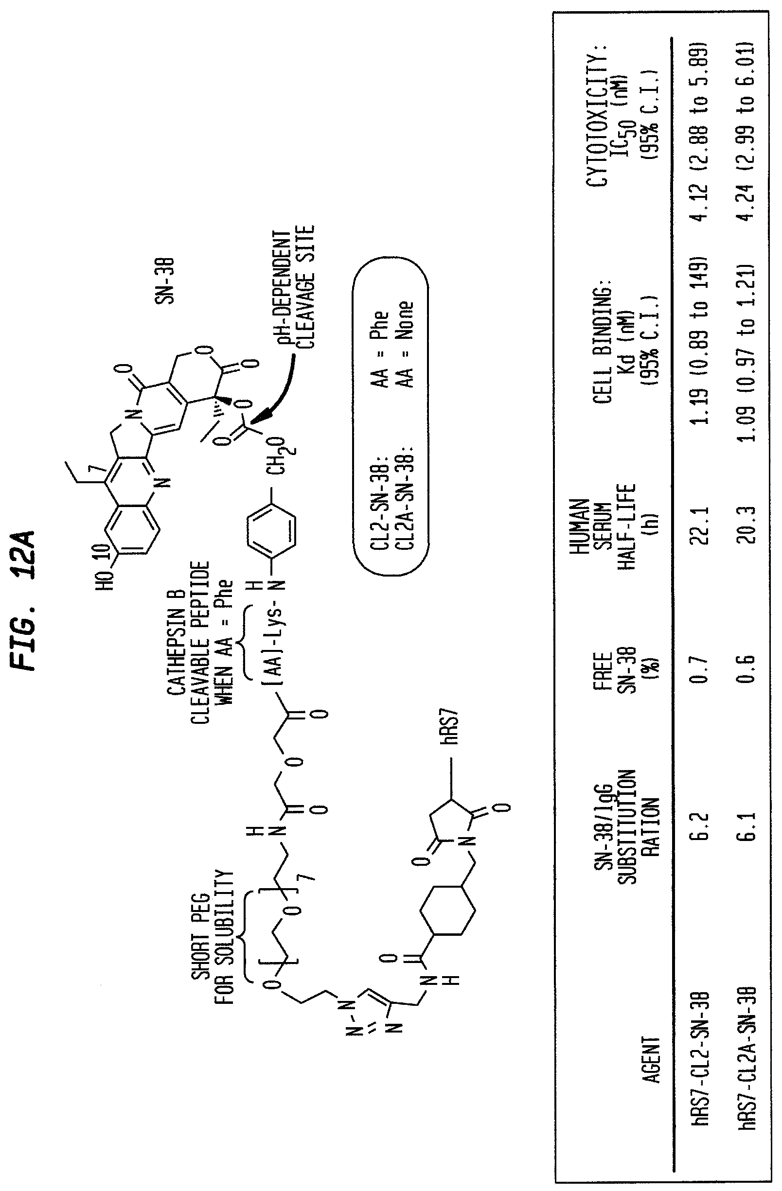 Patent US12310958 Figure 17 – Antibody-drug conjugates and uses thereof