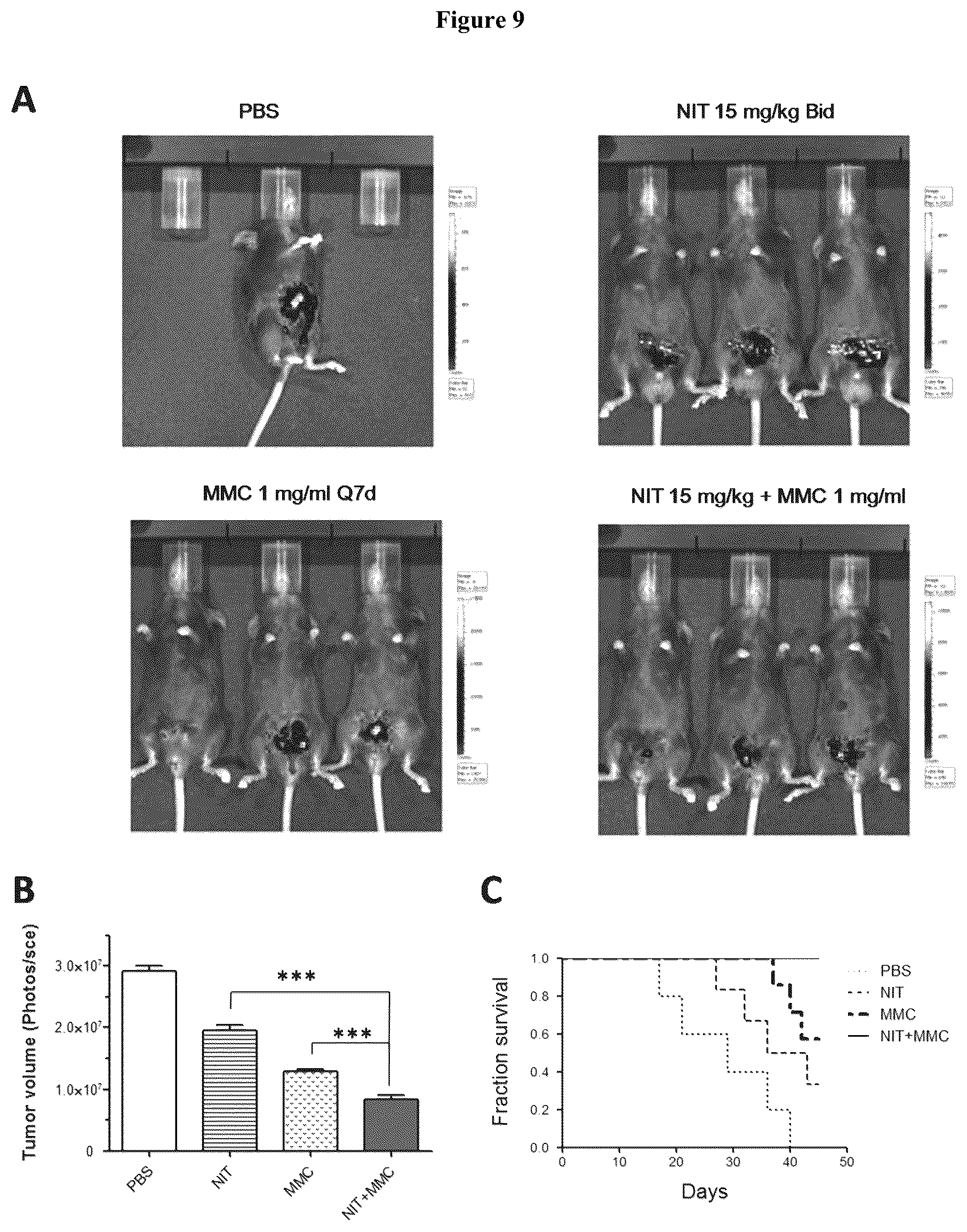 Patent US12310960 Figure 6 – Combinational uses of nitroxoline and its analogues with chemotherapies and immunotherapies in the treatment of cancers
