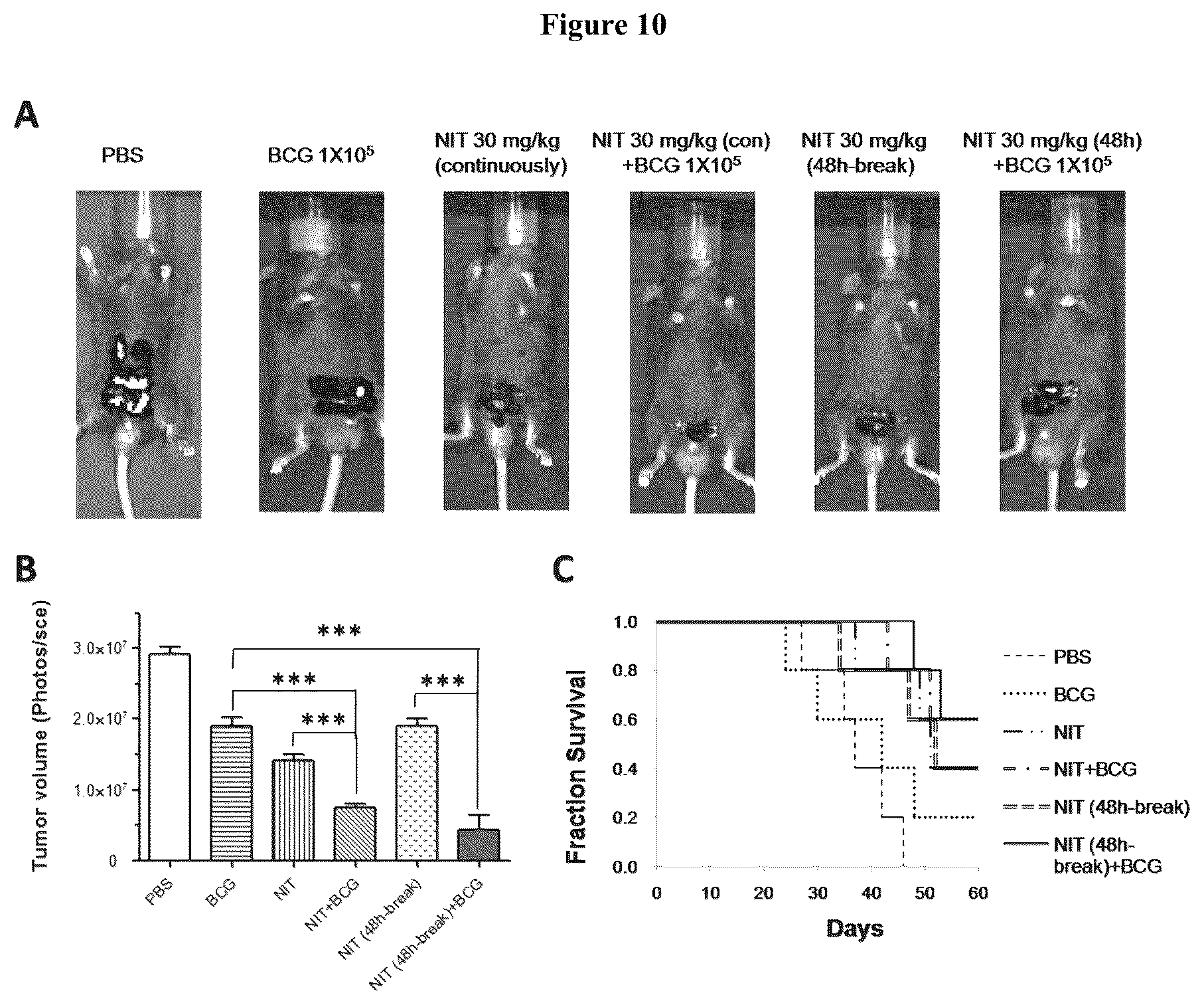 Patent US12310960 Figure 7 – Combinational uses of nitroxoline and its analogues with chemotherapies and immunotherapies in the treatment of cancers