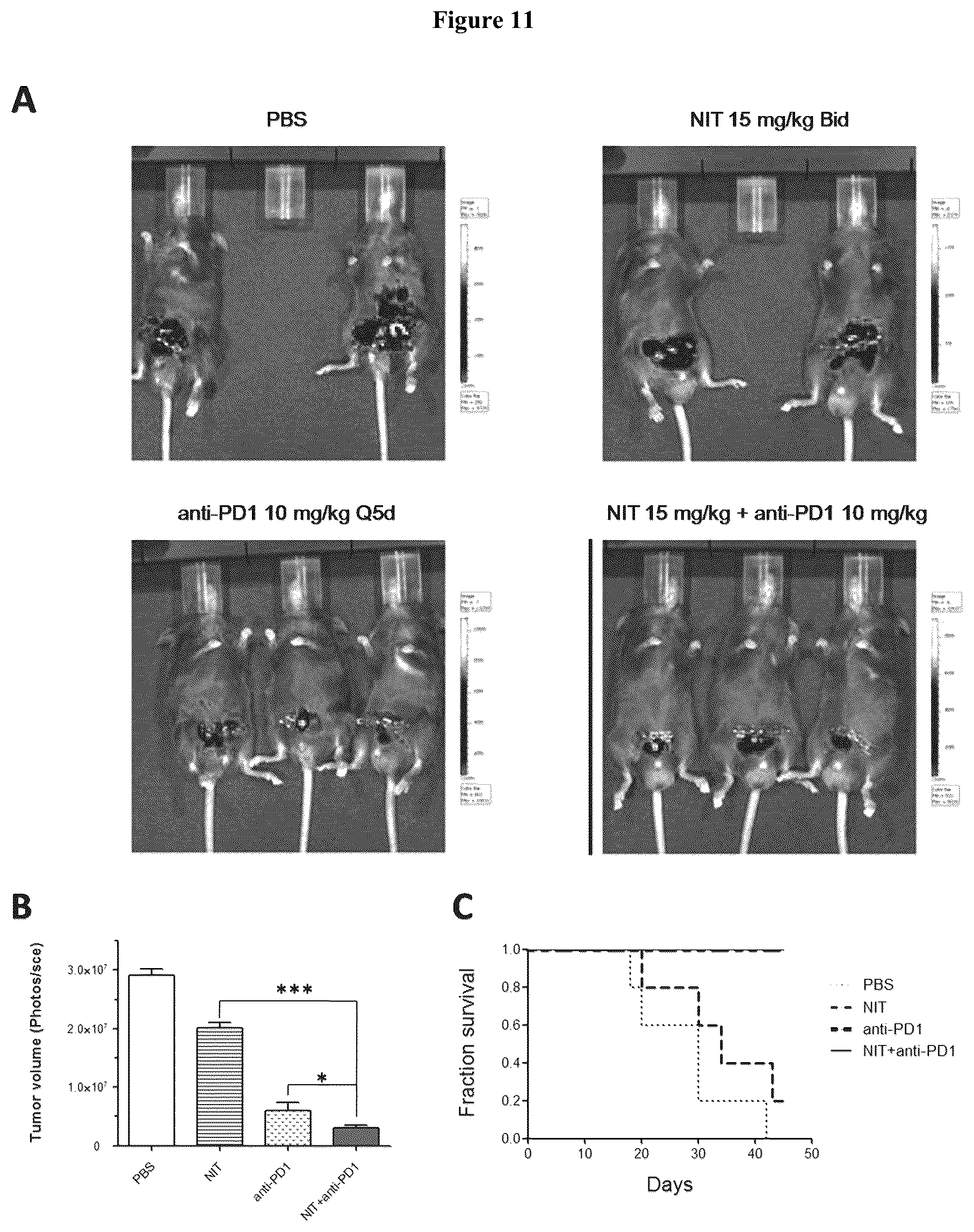 Patent US12310960 Figure 8 – Combinational uses of nitroxoline and its analogues with chemotherapies and immunotherapies in the treatment of cancers