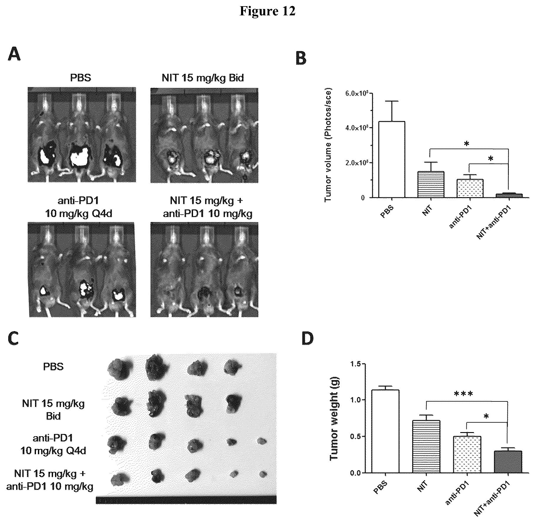 Patent US12310960 Figure 9 – Combinational uses of nitroxoline and its analogues with chemotherapies and immunotherapies in the treatment of cancers
