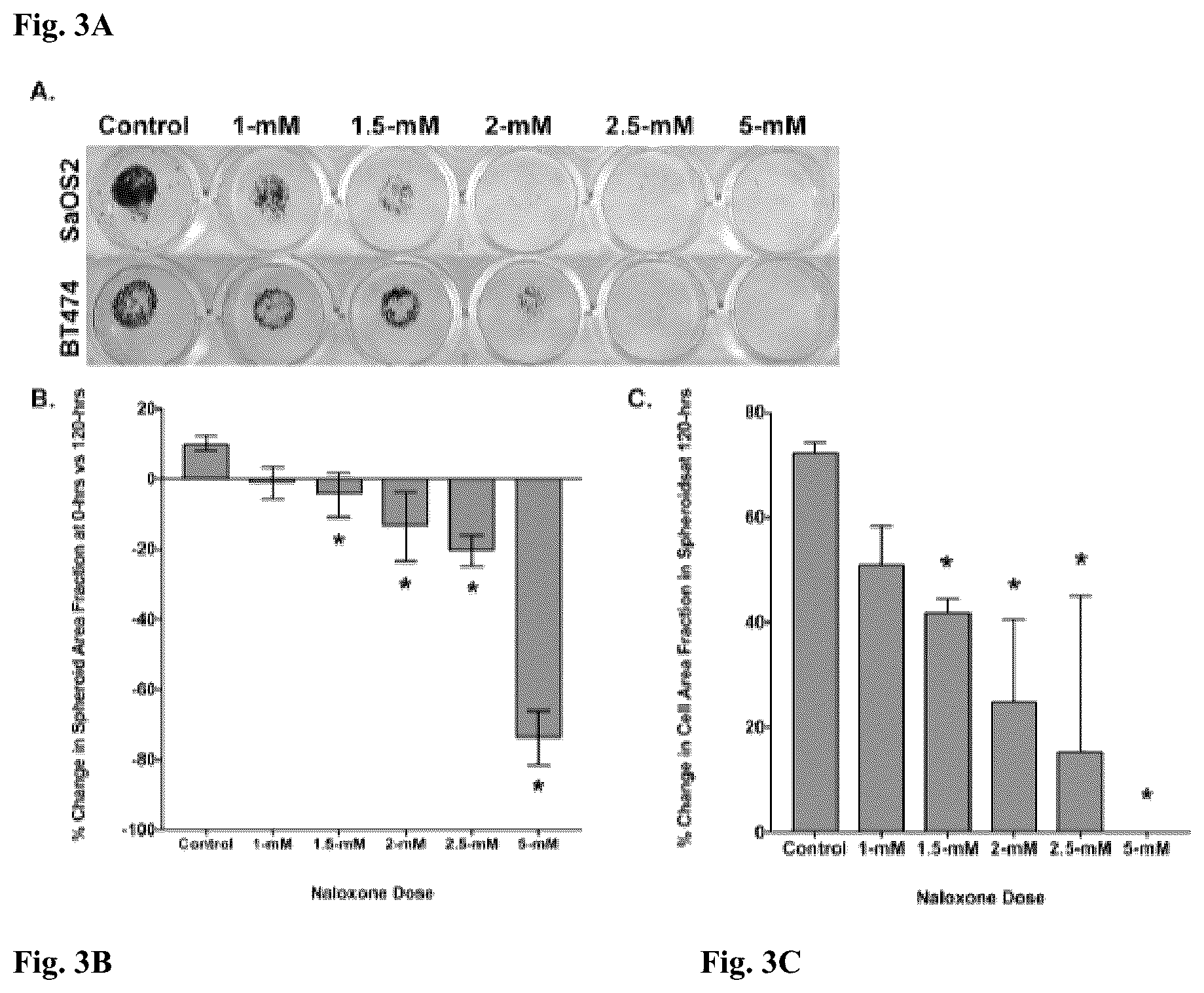 Patent US12310962 Figure 3 – Methods and compositions for treating cancer