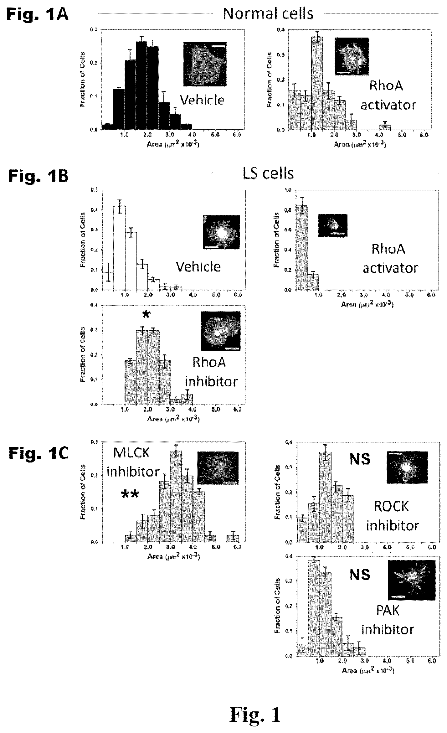 Patent US12310964 Figure 1 – Compositions and methods for the treatment of Lowe Syndrome