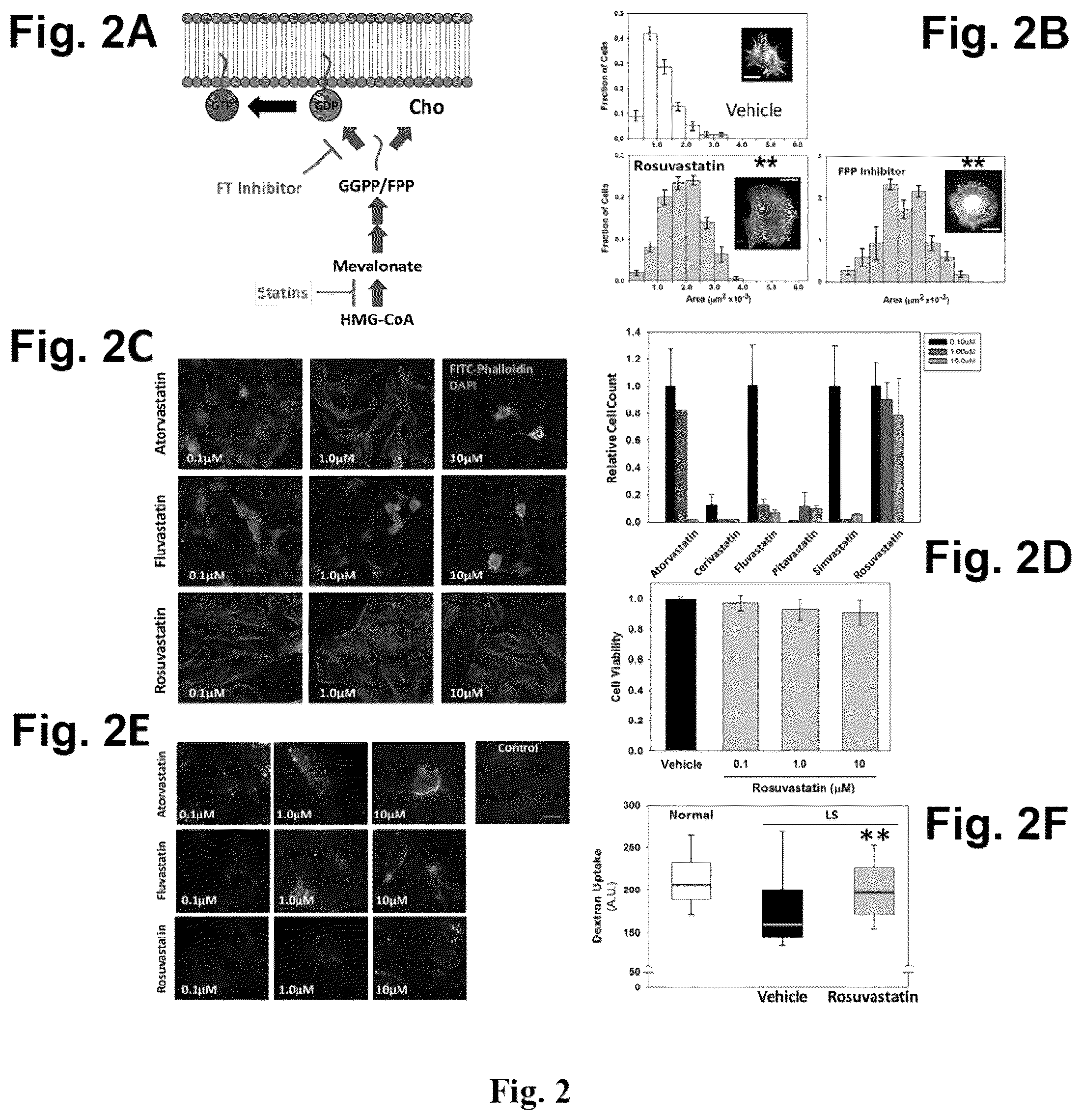 Patent US12310964 Figure 2 – Compositions and methods for the treatment of Lowe Syndrome
