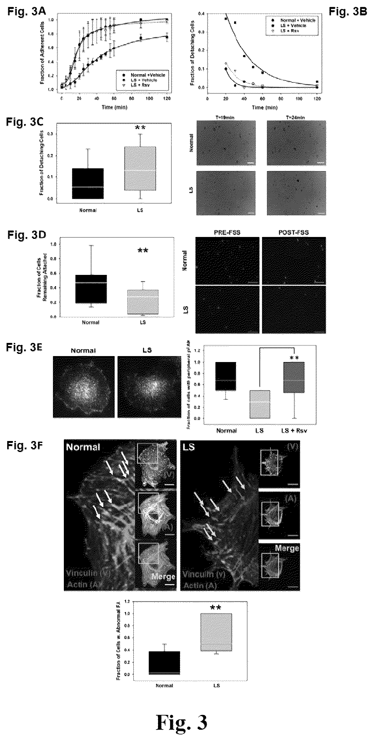 Patent US12310964 Figure 3 – Compositions and methods for the treatment of Lowe Syndrome