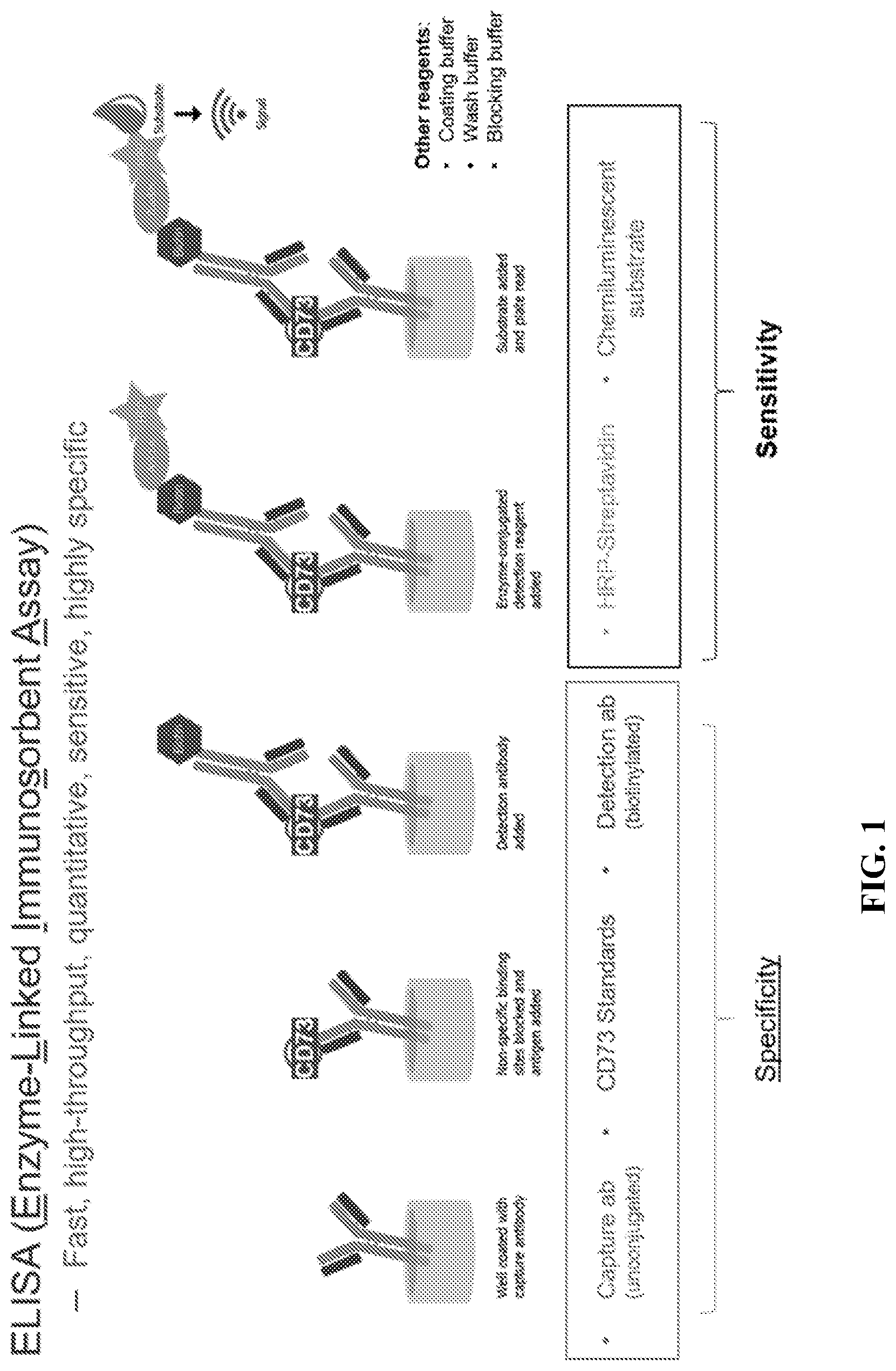 Patent US12310965 Figure 1 – Treatment of cancer utilizing an identified adenosine fingerprint