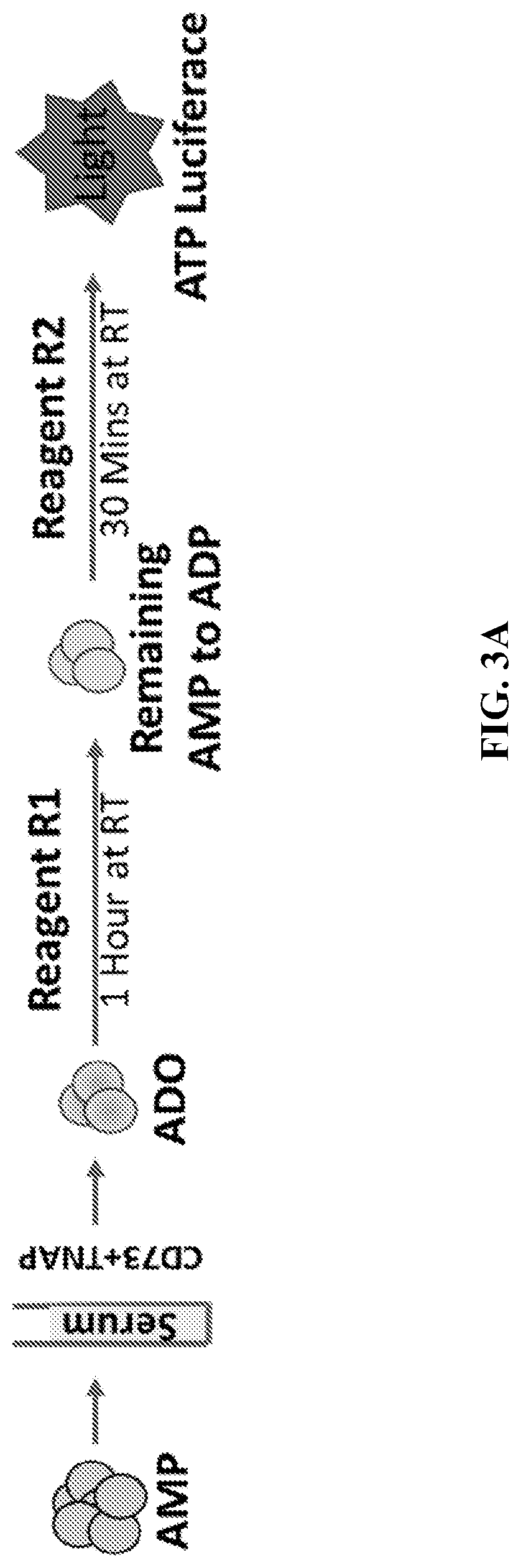 Patent US12310965 Figure 5 – Treatment of cancer utilizing an identified adenosine fingerprint