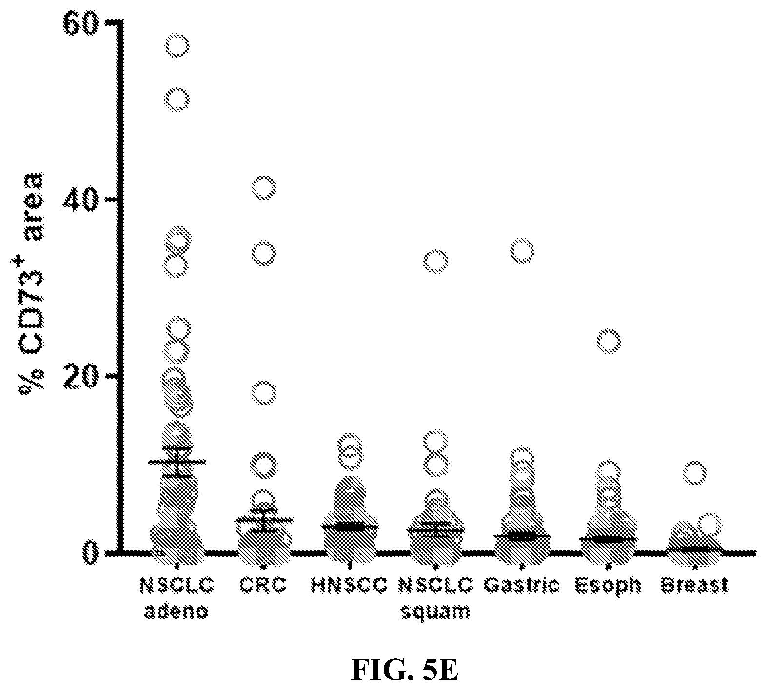 Patent US12310965 Figure 12 – Treatment of cancer utilizing an identified adenosine fingerprint
