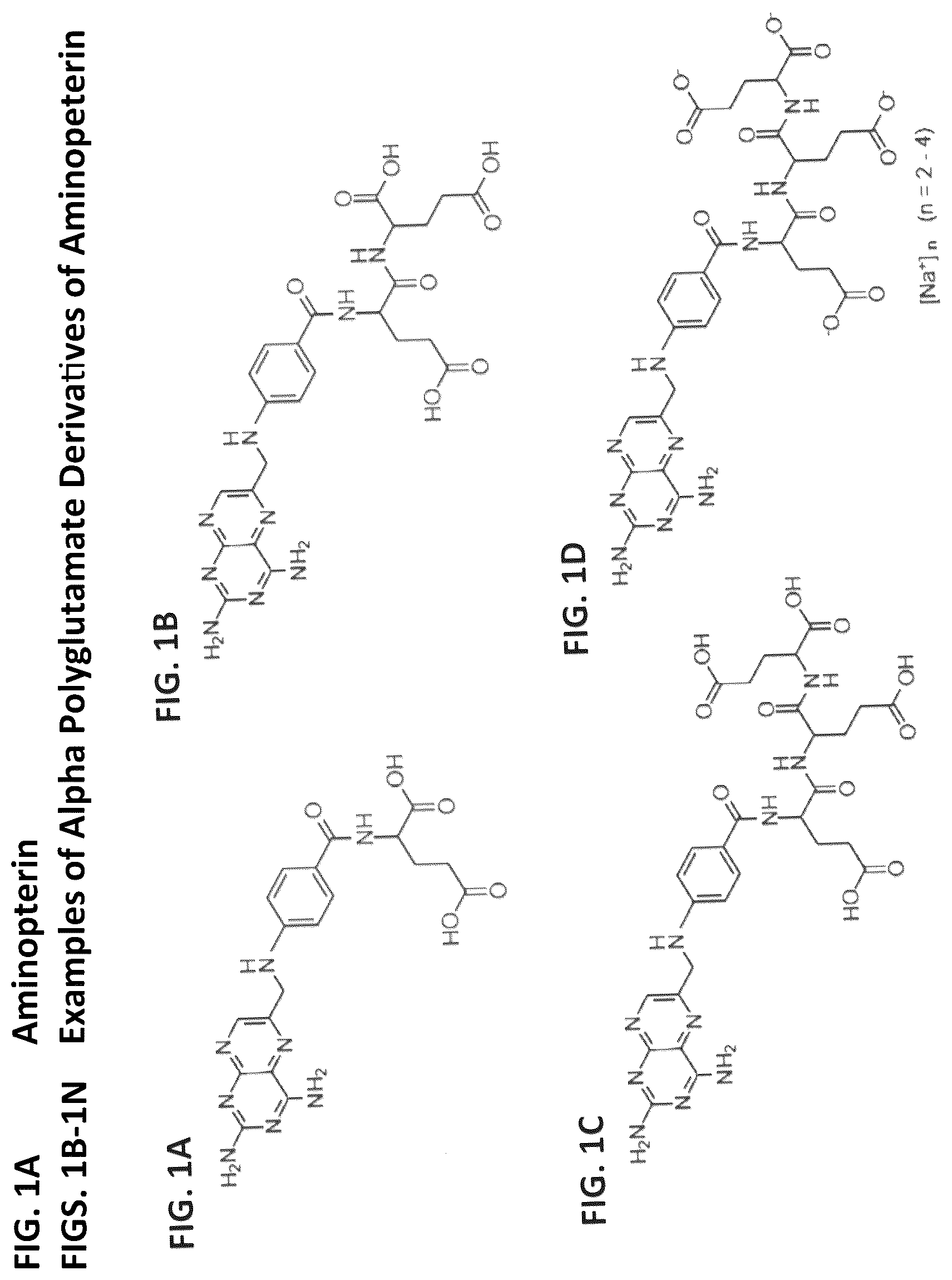 Patent US12310966 Figure 1 – Alpha polyglutamated aminopterin and uses thereof