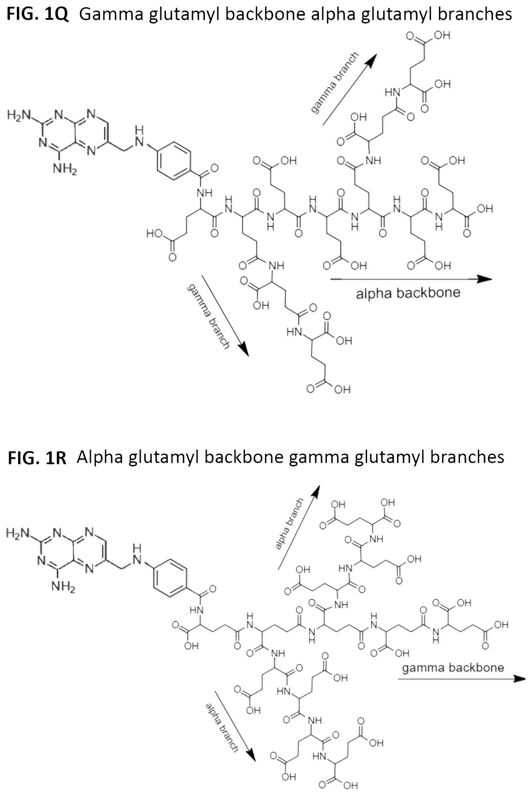 Patent US12310966 Figure 6 – Alpha polyglutamated aminopterin and uses thereof