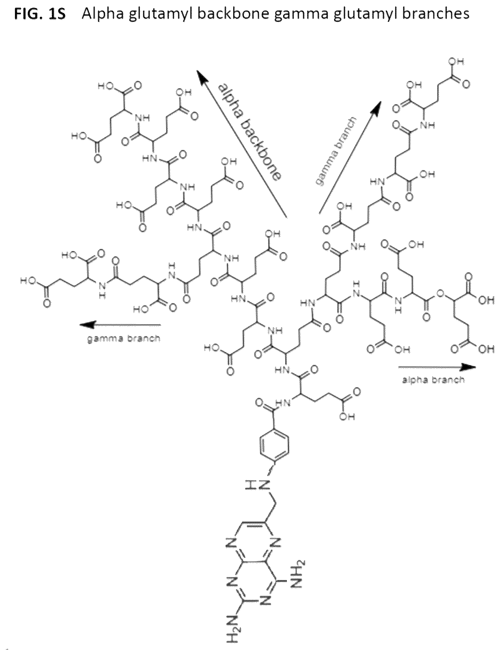 Patent US12310966 Figure 7 – Alpha polyglutamated aminopterin and uses thereof