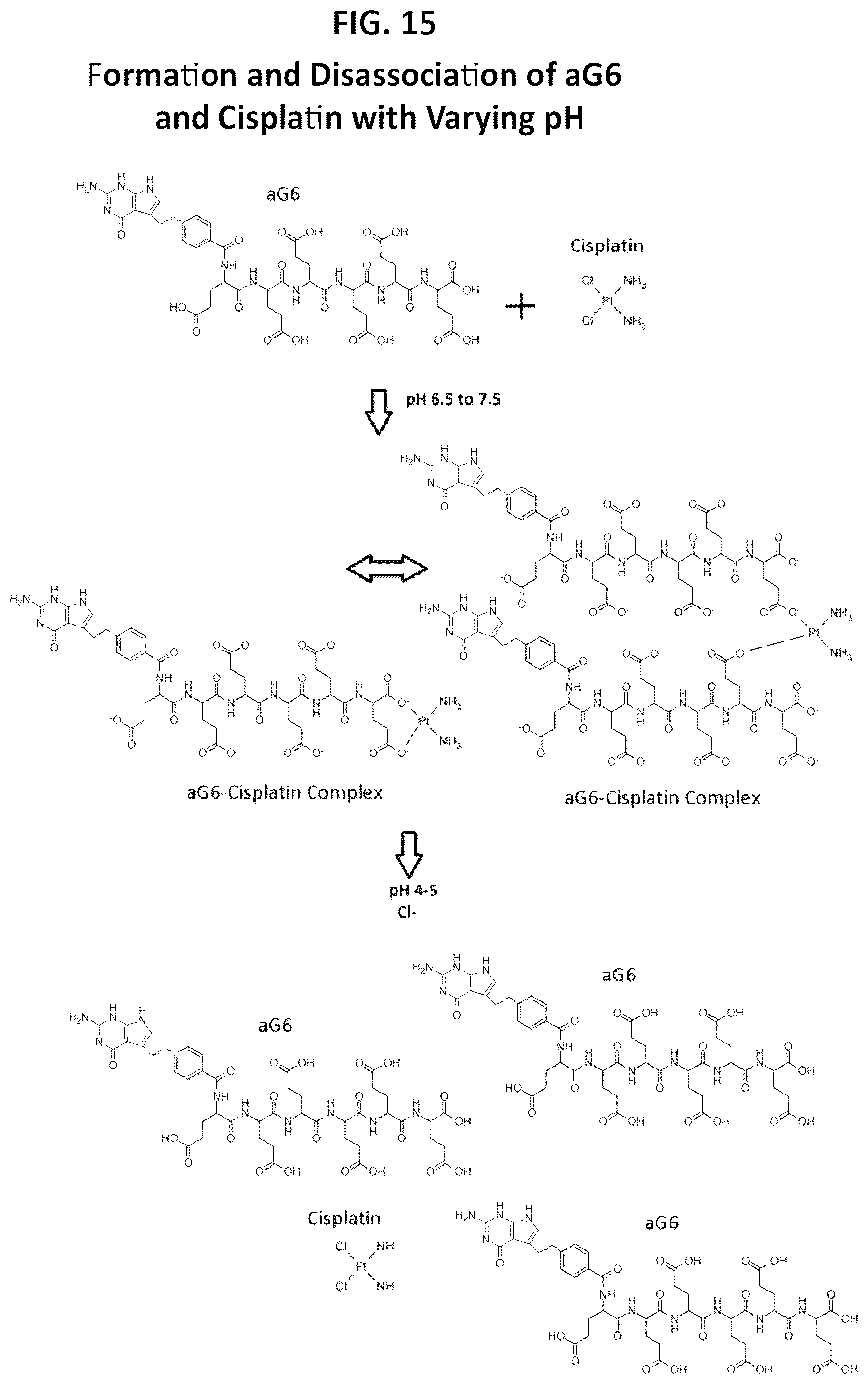 Patent US12310966 Figure 15 – Alpha polyglutamated aminopterin and uses thereof