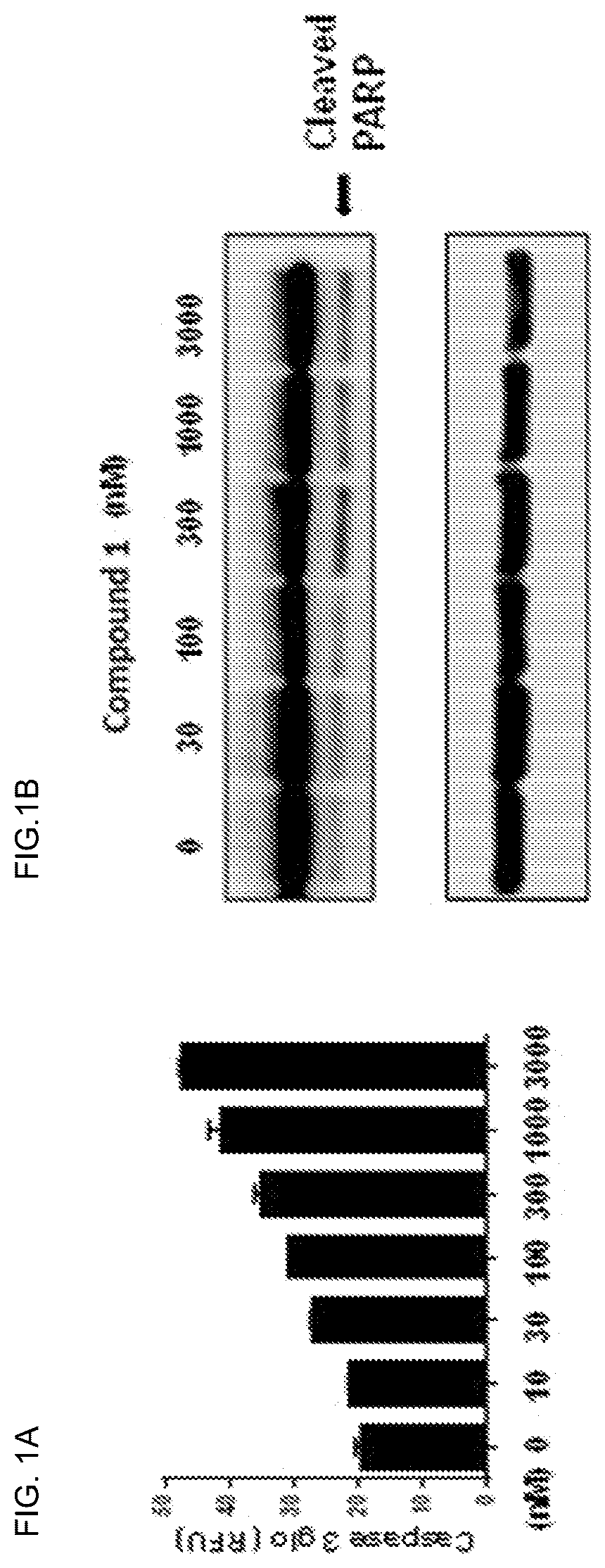 Patent US12310968 Figure 1 – Chiral diaryl macrocycles and uses thereof