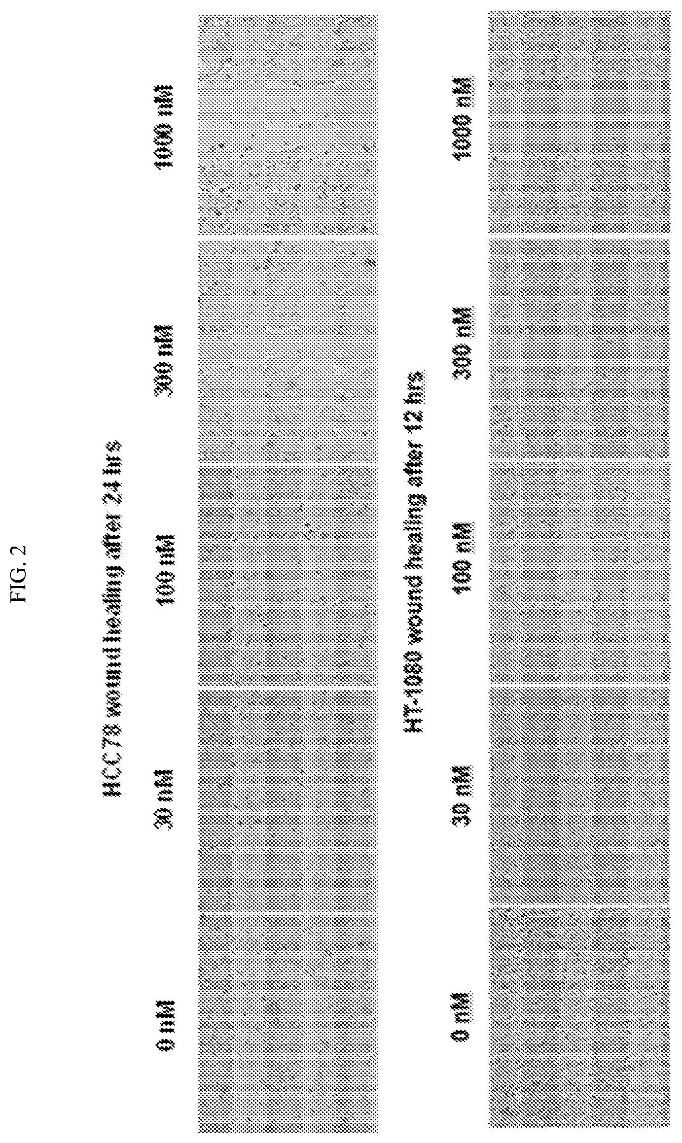 Patent US12310968 Figure 2 – Chiral diaryl macrocycles and uses thereof