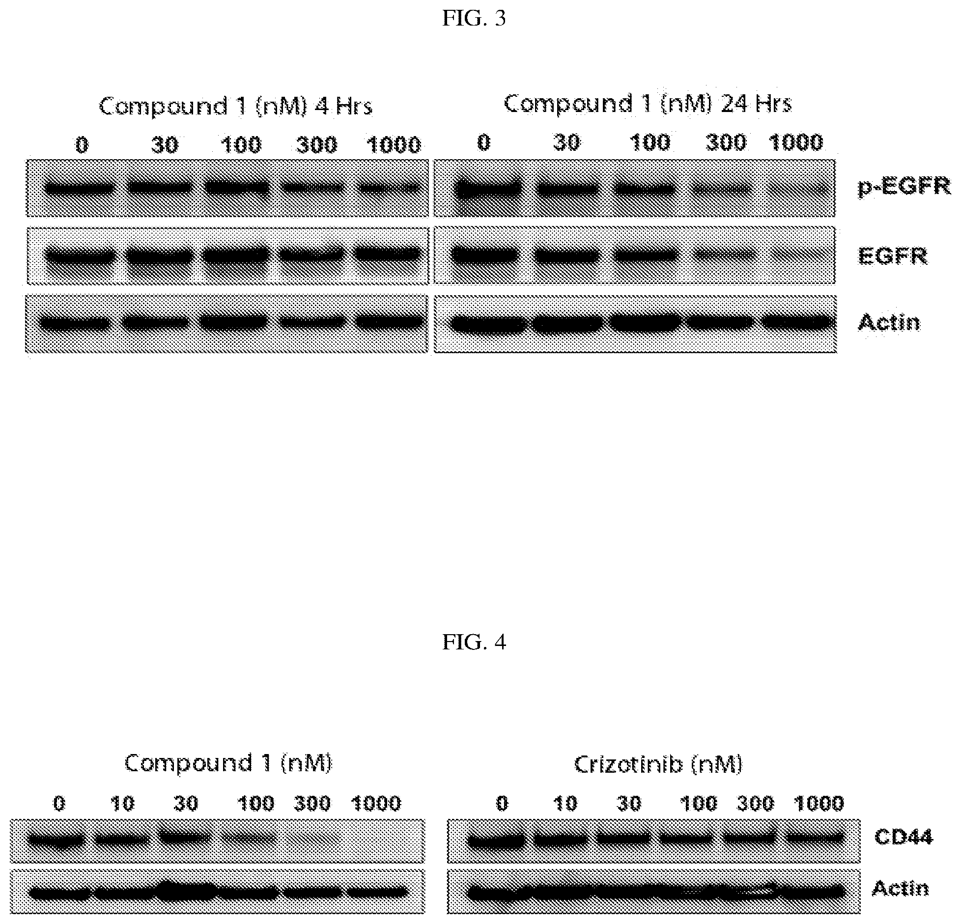 Patent US12310968 Figure 3 – Chiral diaryl macrocycles and uses thereof