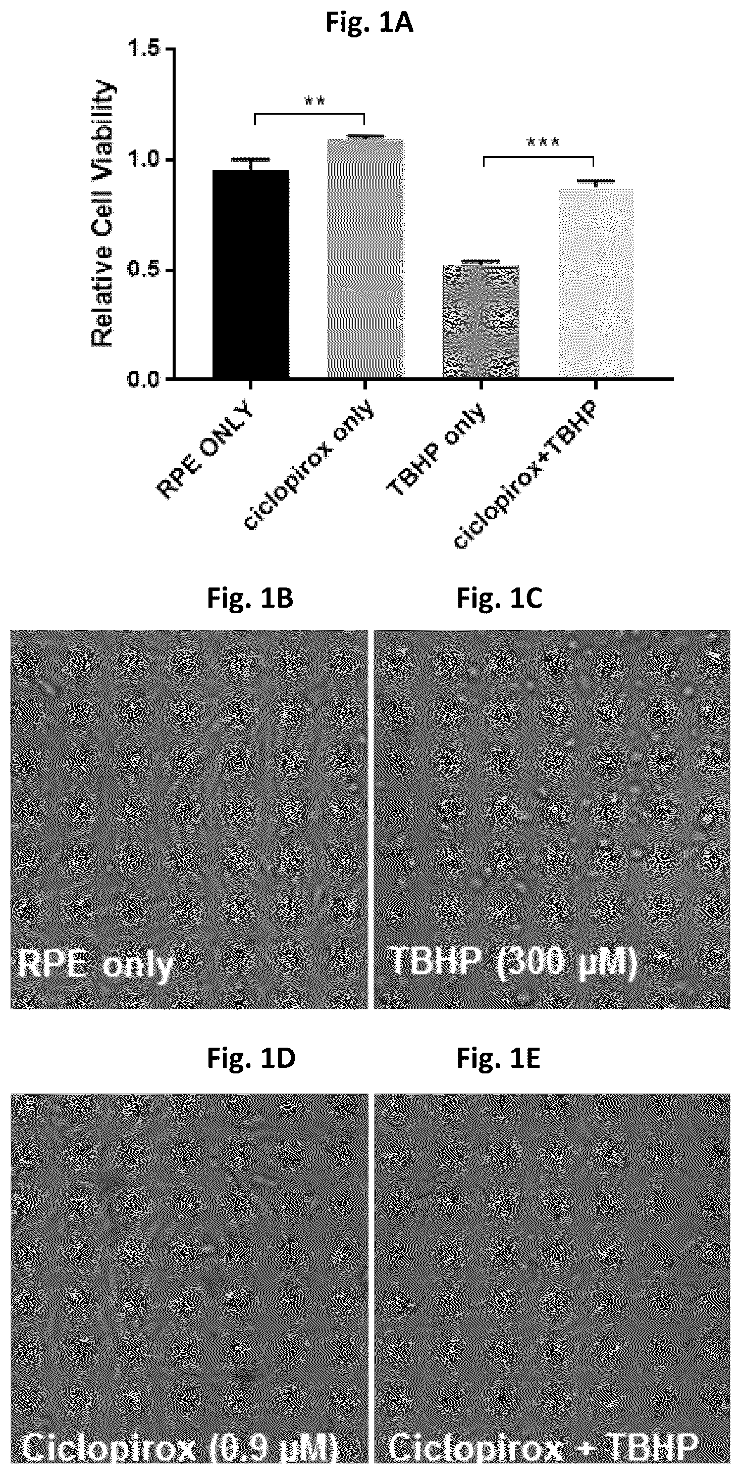Patent US12310970 Figure 1 – Compounds and methods for treating or preventing anterior segment ocular disorders and/or retinal degenerations