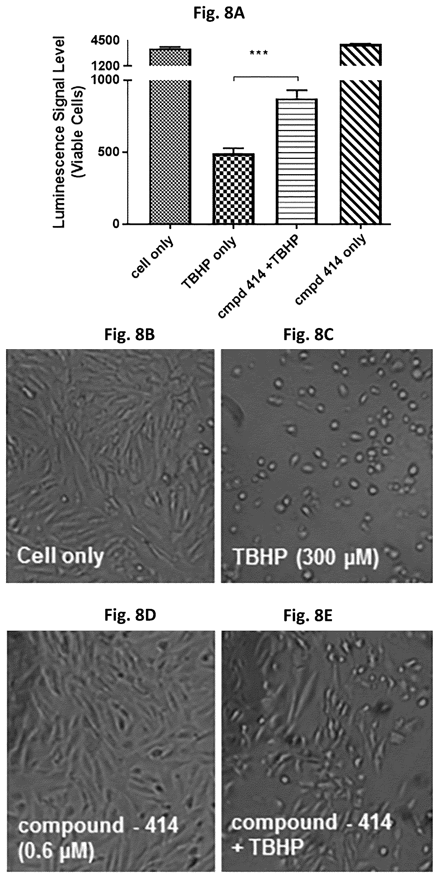 Patent US12310970 Figure 9 – Compounds and methods for treating or preventing anterior segment ocular disorders and/or retinal degenerations