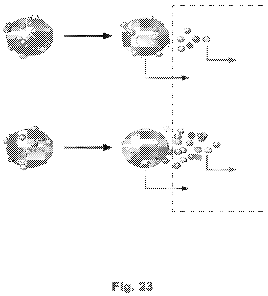 Patent US12310979 Figure 12 – Inhalable formulation of fluticasone propionate and albuterol sulfate