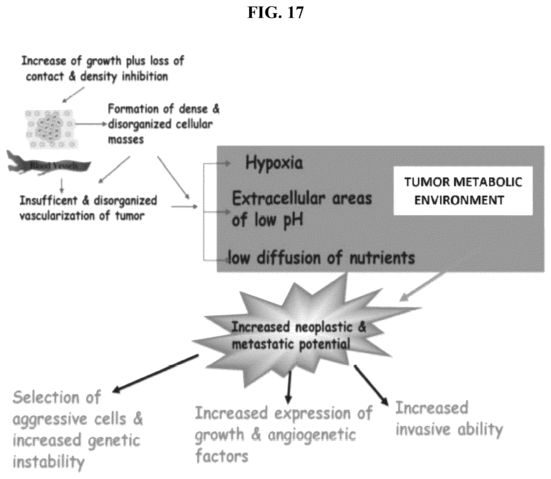 Patent US12310983 Figure 17 – Method of administration and treatment