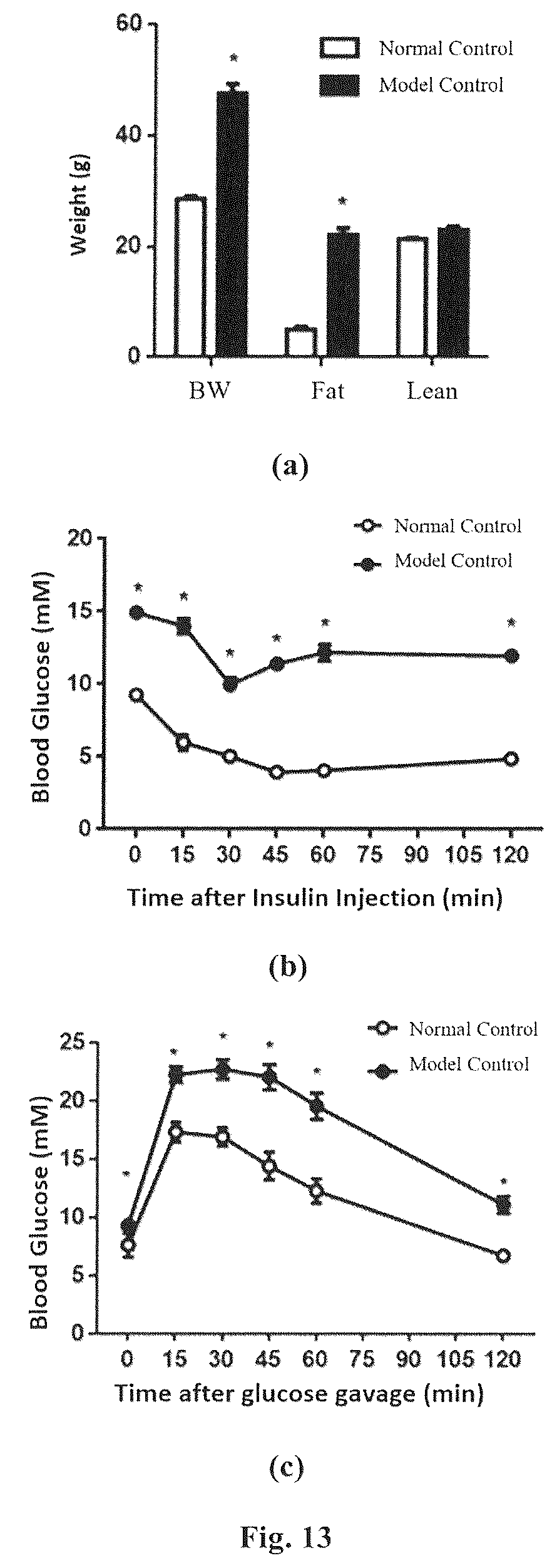Patent US12310985 Figure 12 – Composition and method for treatment of diabetes