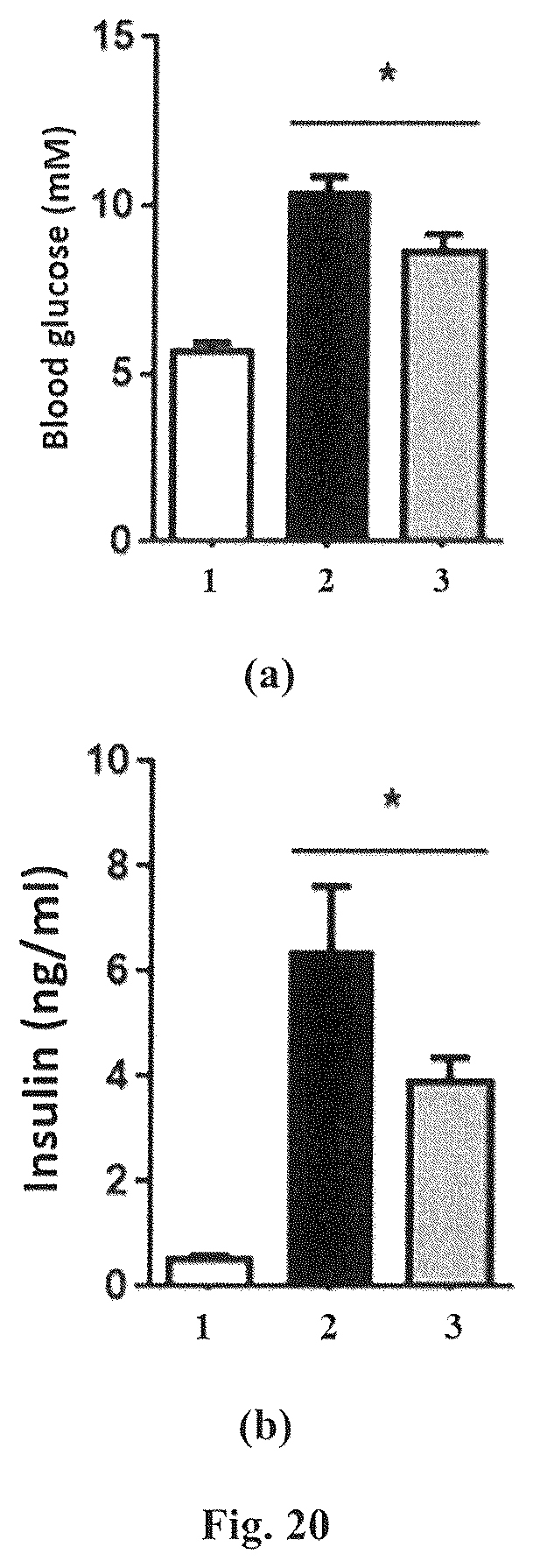 Patent US12310985 Figure 18 – Composition and method for treatment of diabetes