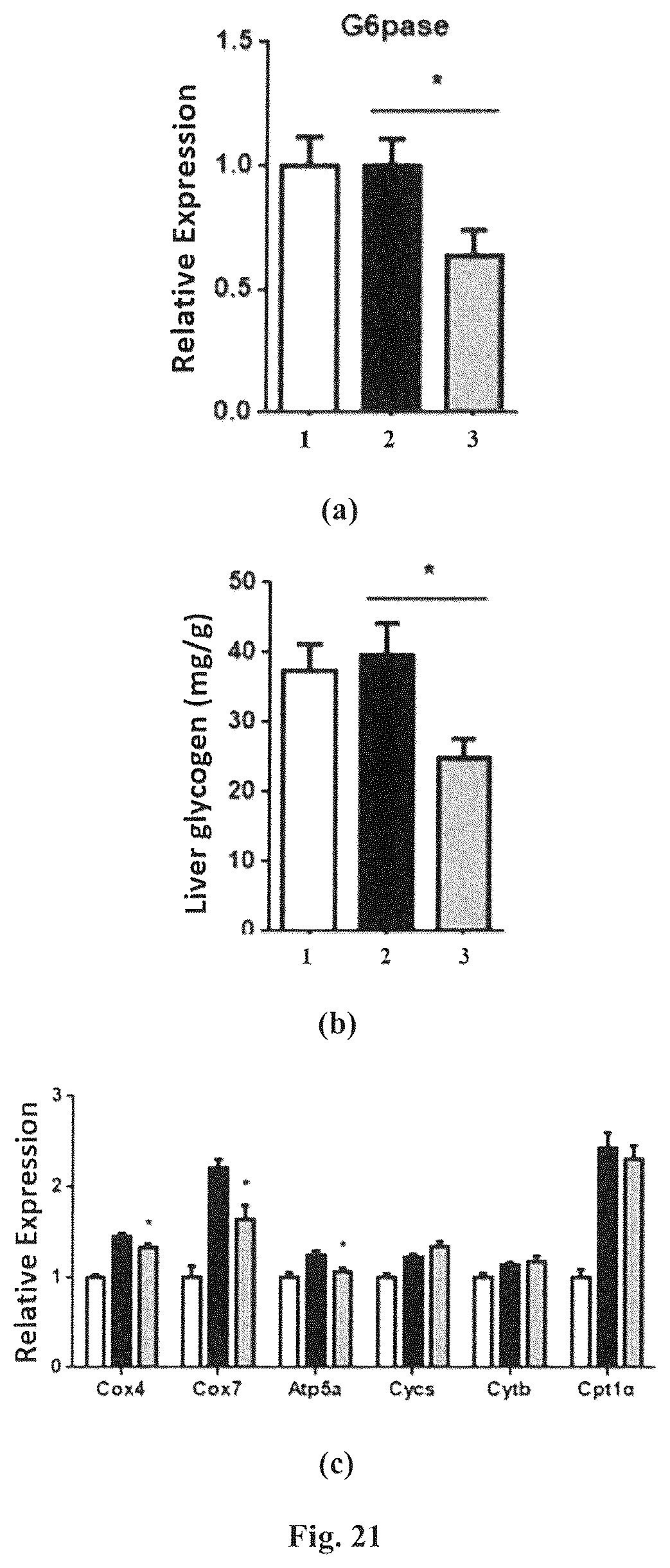 Patent US12310985 Figure 19 – Composition and method for treatment of diabetes