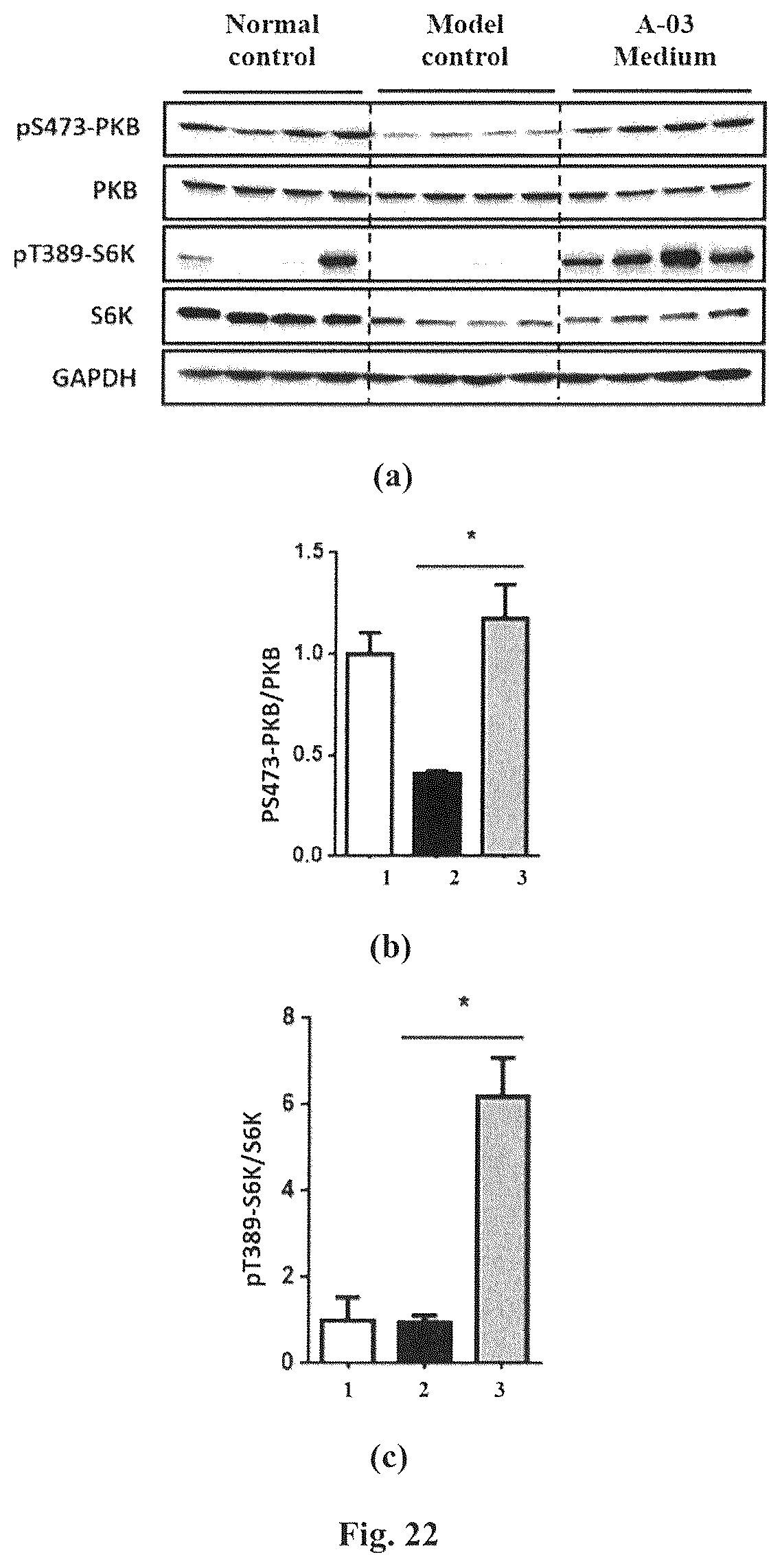 Patent US12310985 Figure 20 – Composition and method for treatment of diabetes