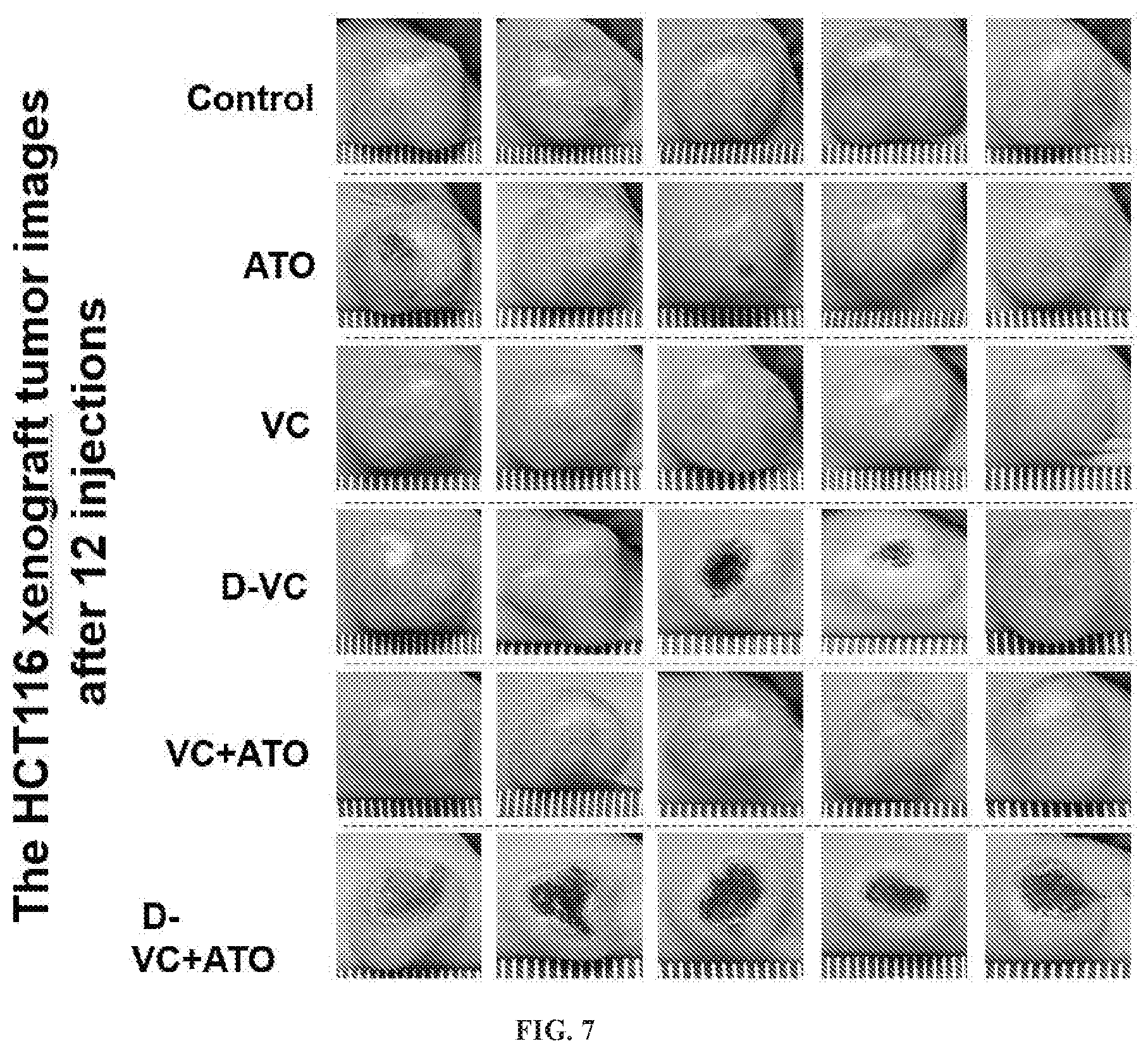 Patent US12310986 Figure 7 – Compositions and methods for the treatment of cancer cells by induction of cytotoxic oxidative stress