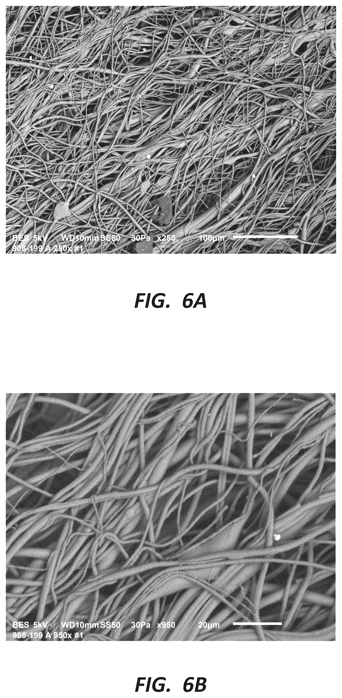 Patent US12310987 Figure 6 – Fibrous constructs with therapeutic material particles