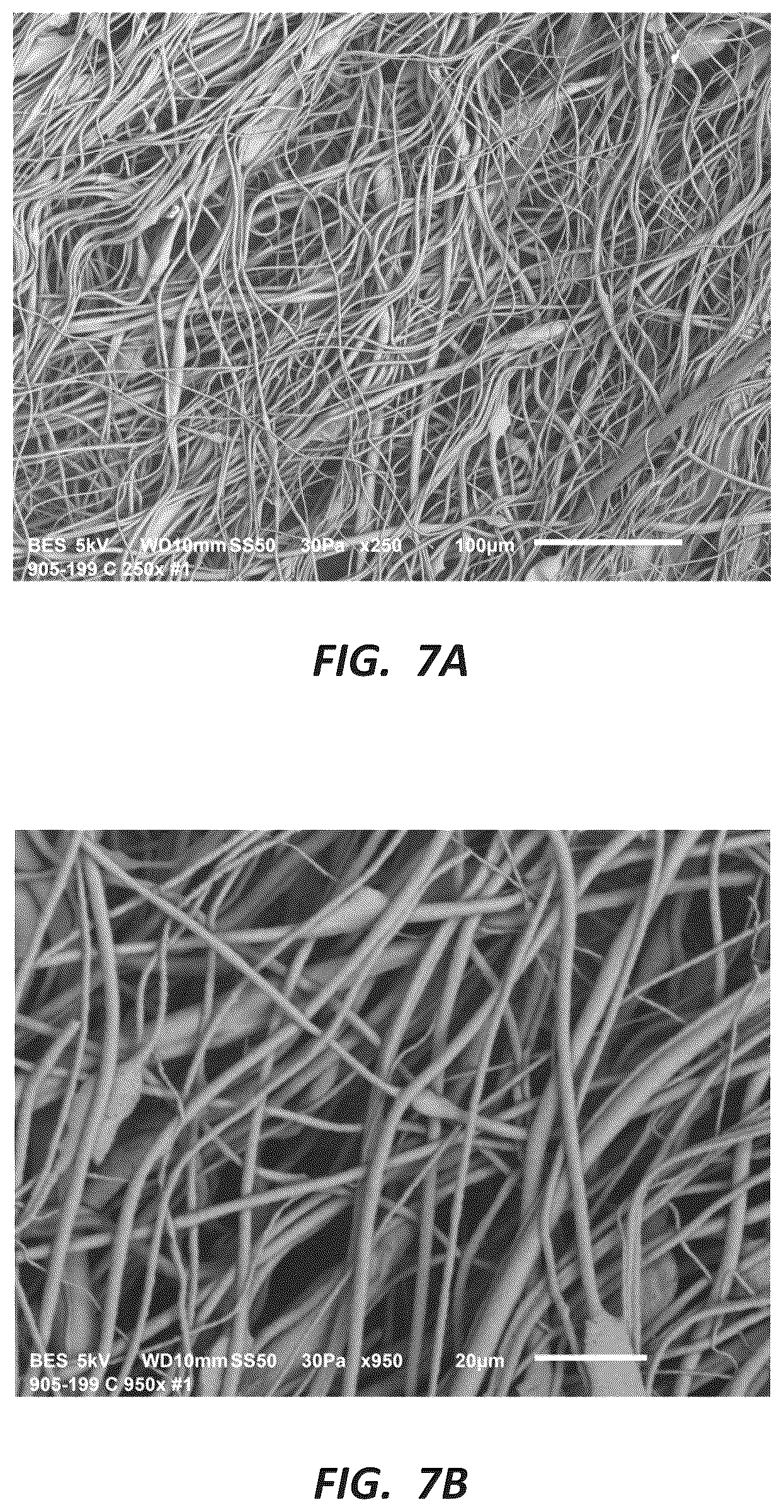 Patent US12310987 Figure 7 – Fibrous constructs with therapeutic material particles