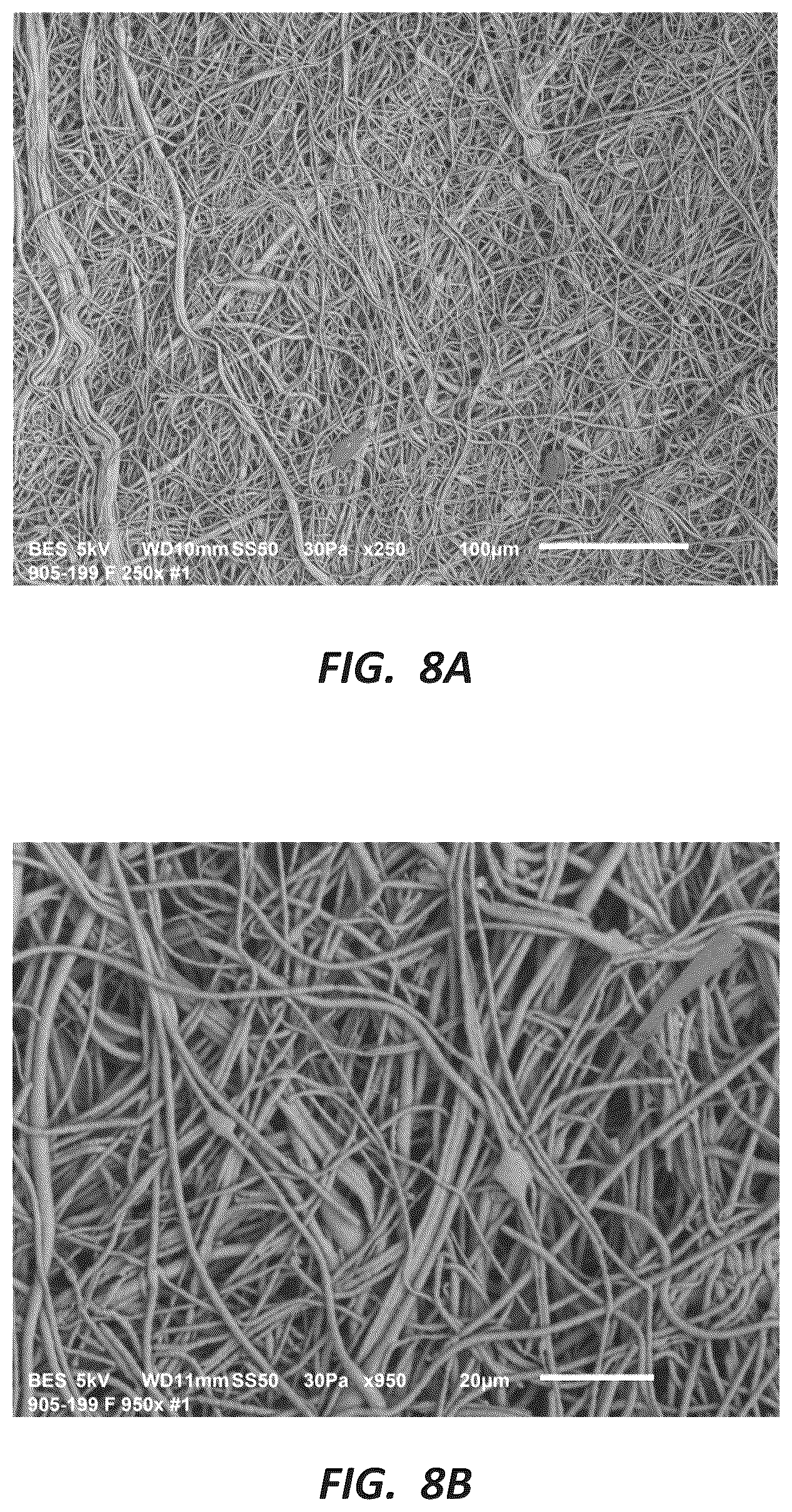 Patent US12310987 Figure 8 – Fibrous constructs with therapeutic material particles