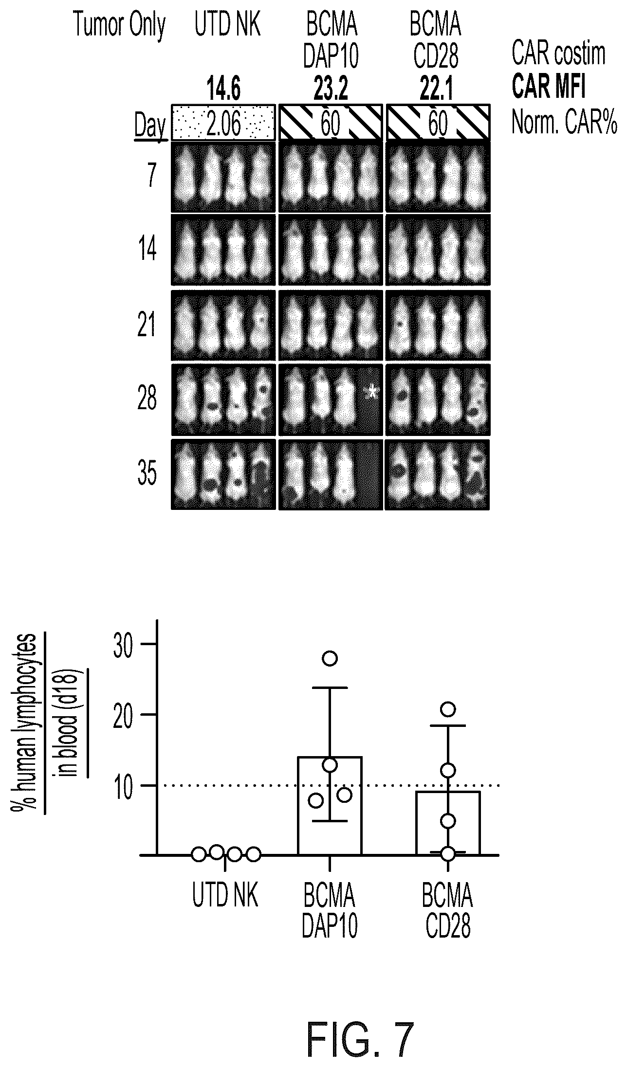 Patent US12310988 Figure 8 – BCMA chimeric antigen receptors and uses thereof