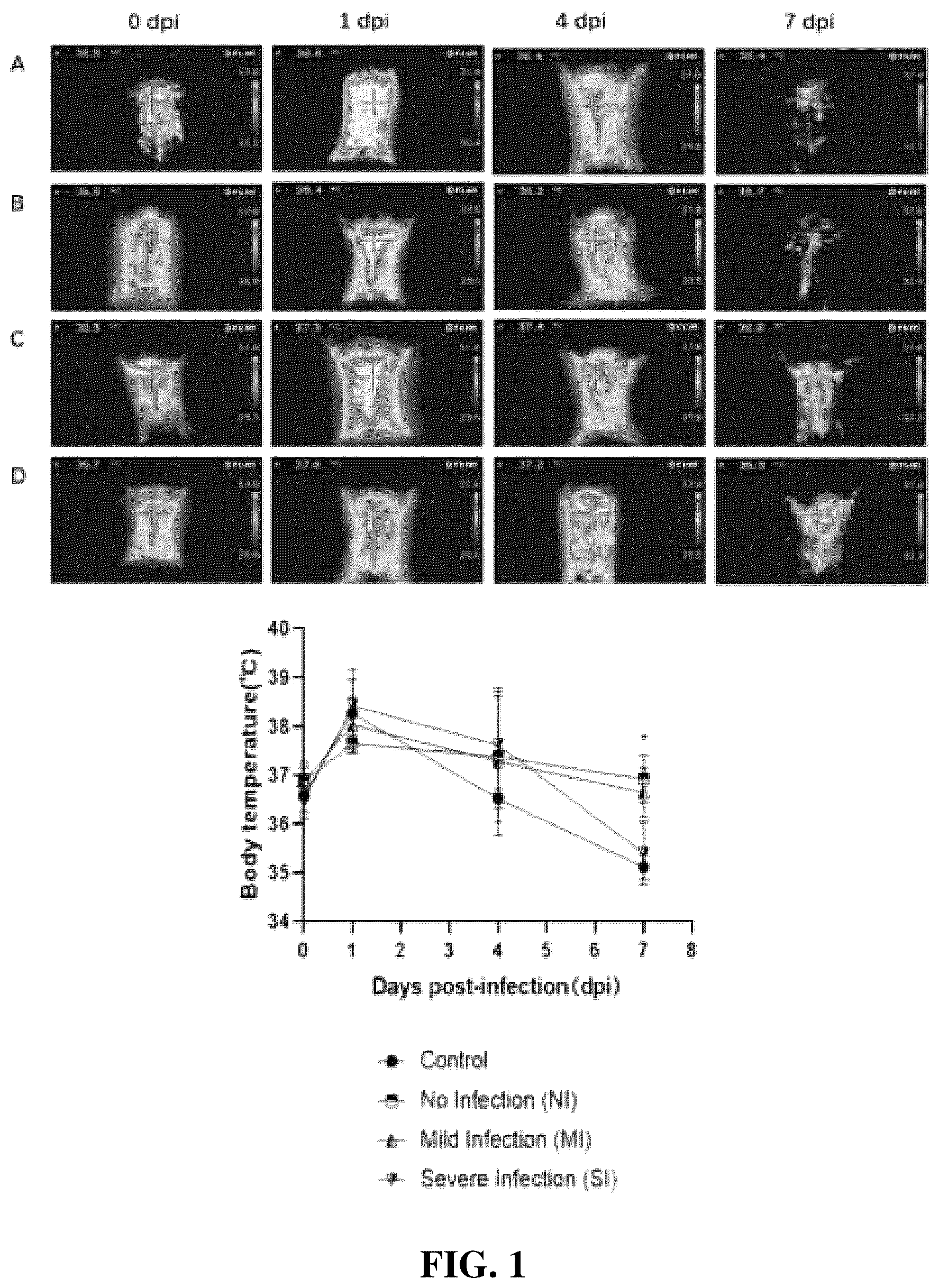 Patent US12310995 Figure 1 – Gut microbes against infectious diseases and its use