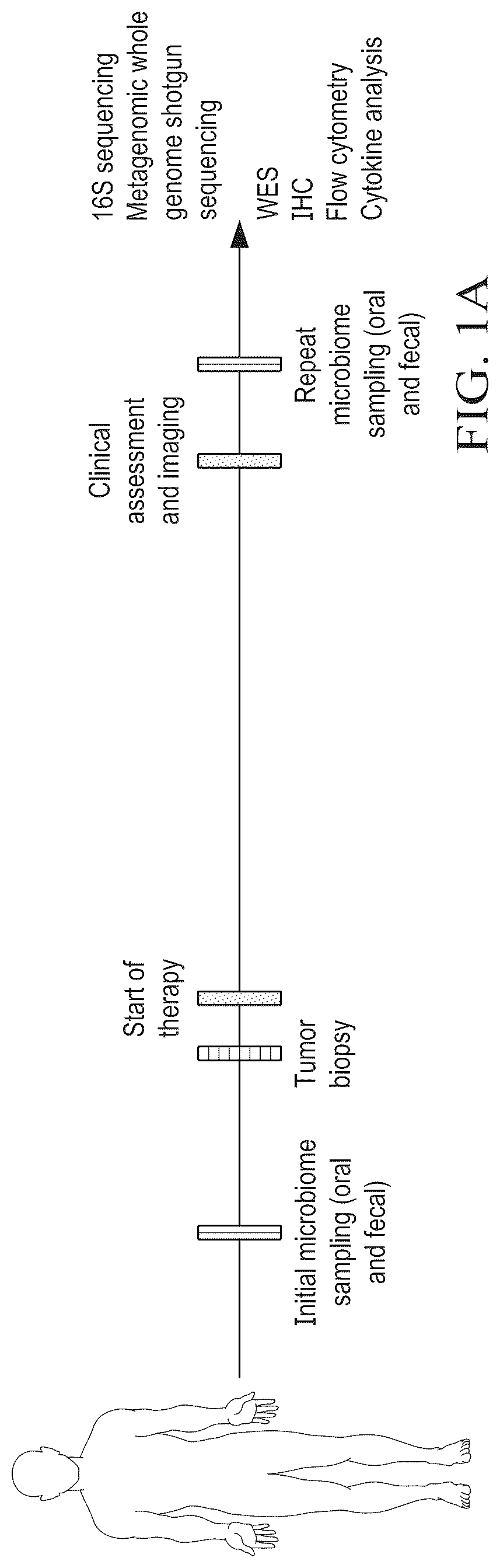 Patent US12310996 Figure 1 – Methods for enhancing immune checkpoint blockade therapy by modulating the microbiome
