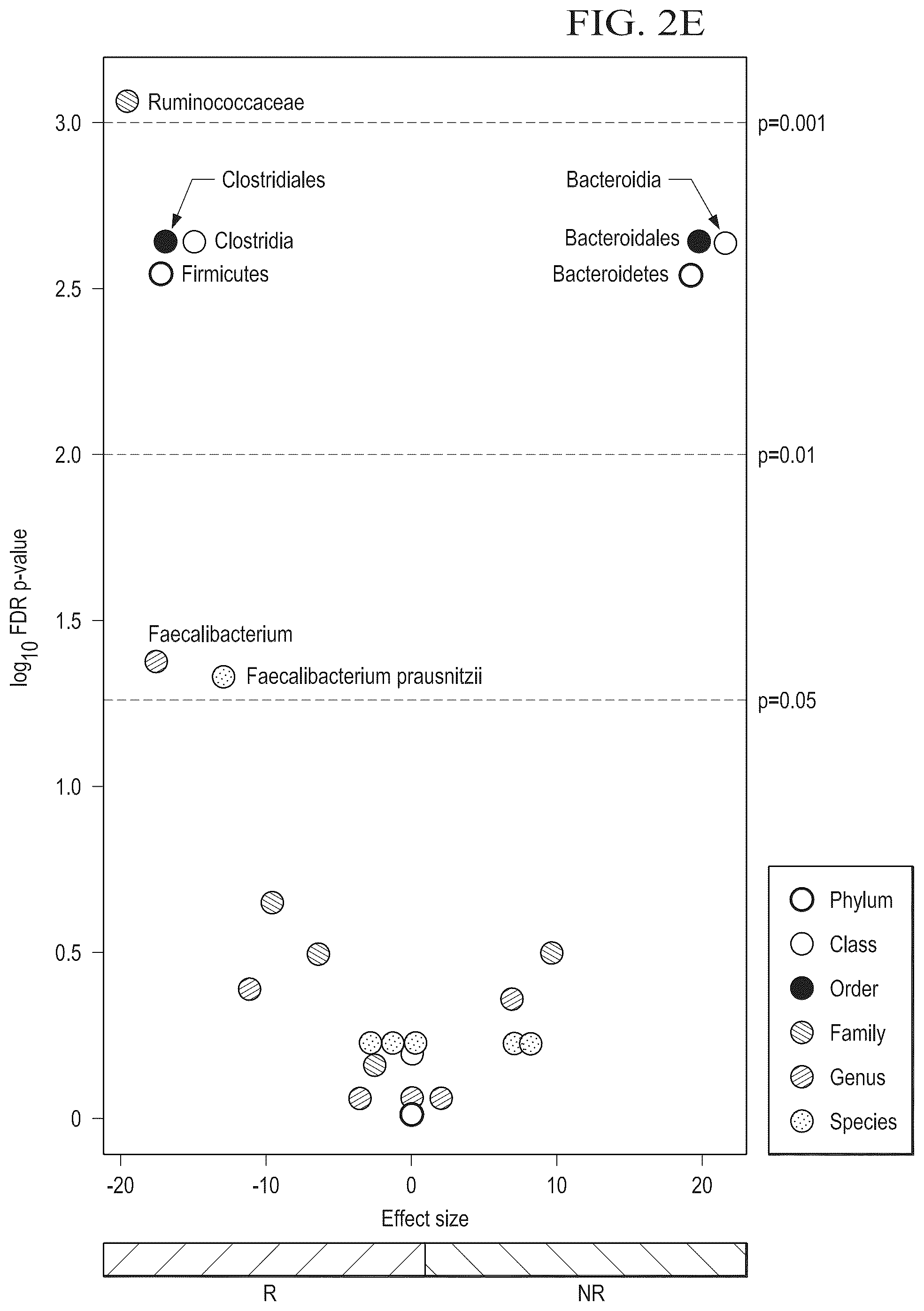 Patent US12310996 Figure 12 – Methods for enhancing immune checkpoint blockade therapy by modulating the microbiome