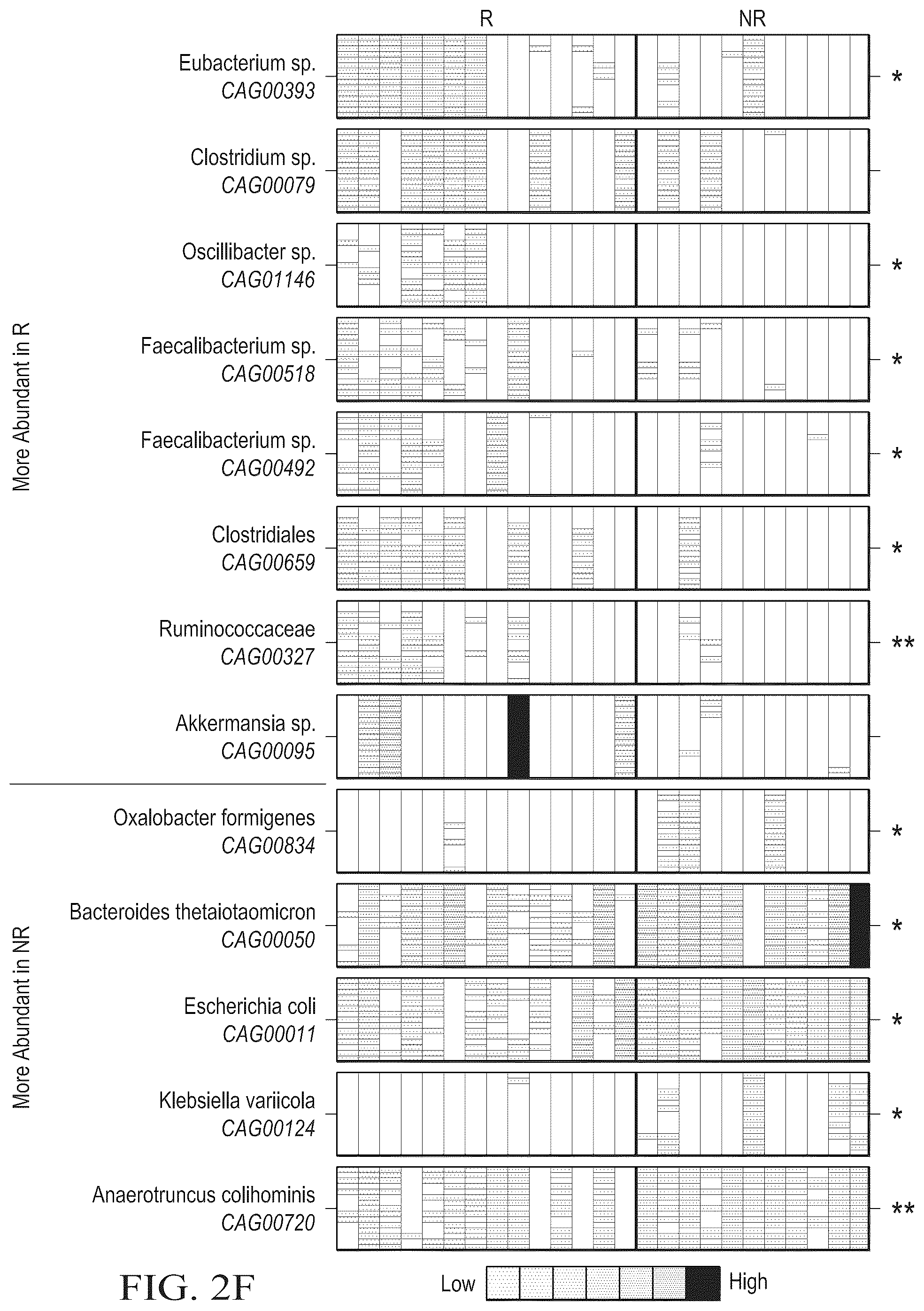 Patent US12310996 Figure 13 – Methods for enhancing immune checkpoint blockade therapy by modulating the microbiome